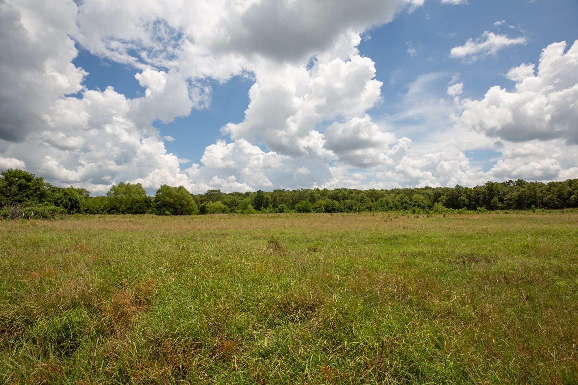 Paradise Valley Tract 8 photo 4