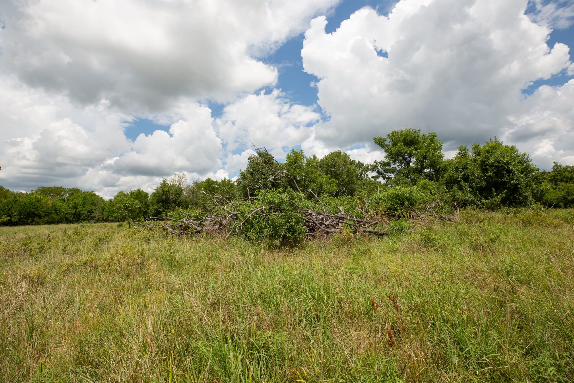 Paradise Valley Tract 8 photo 5