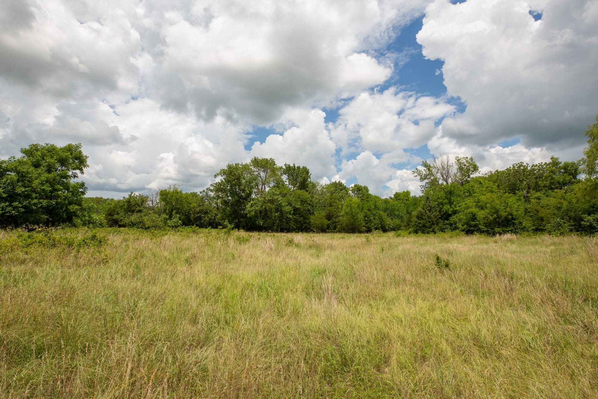 Paradise Valley Tract 8 photo 6