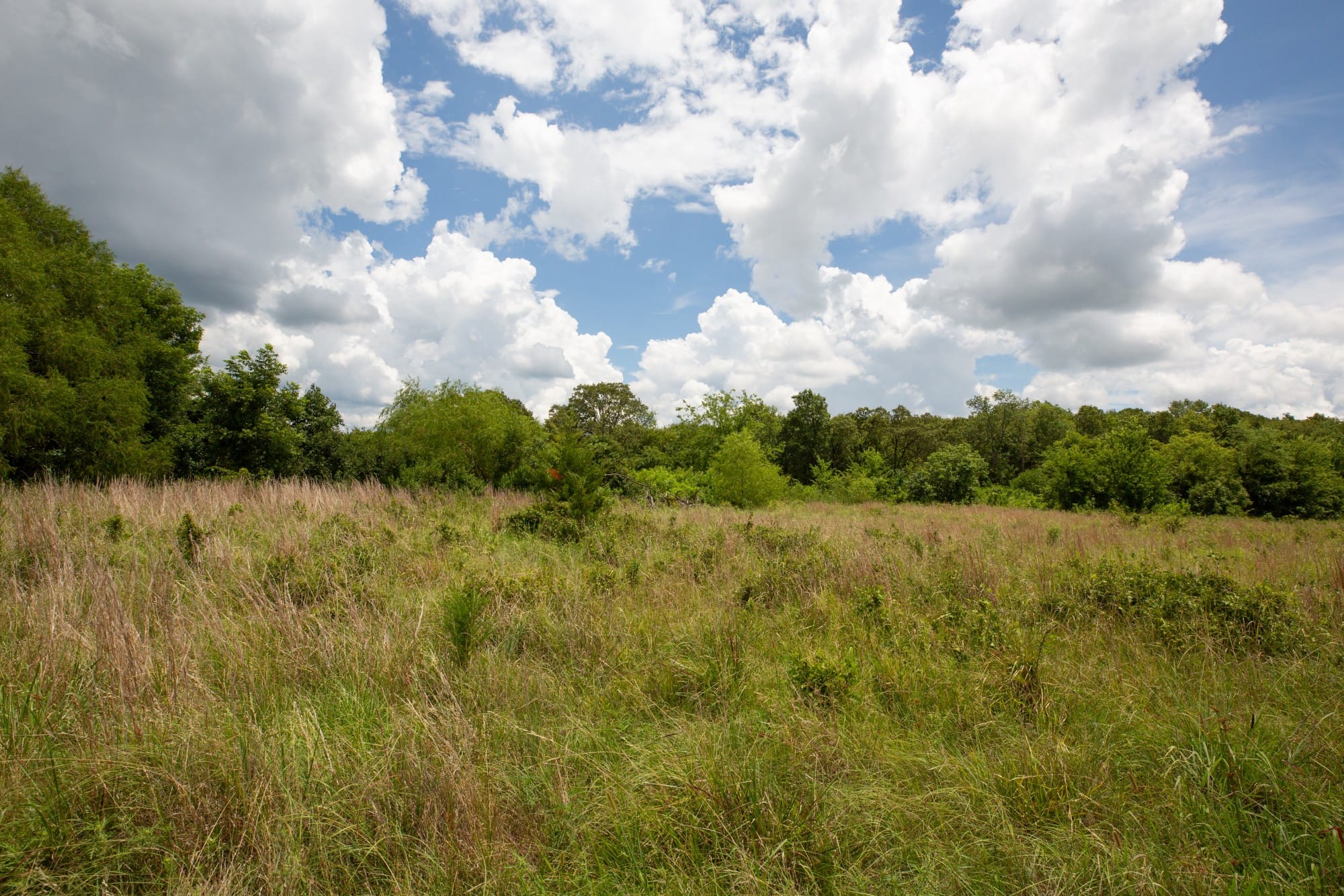 Paradise Valley Tract 8 photo 8