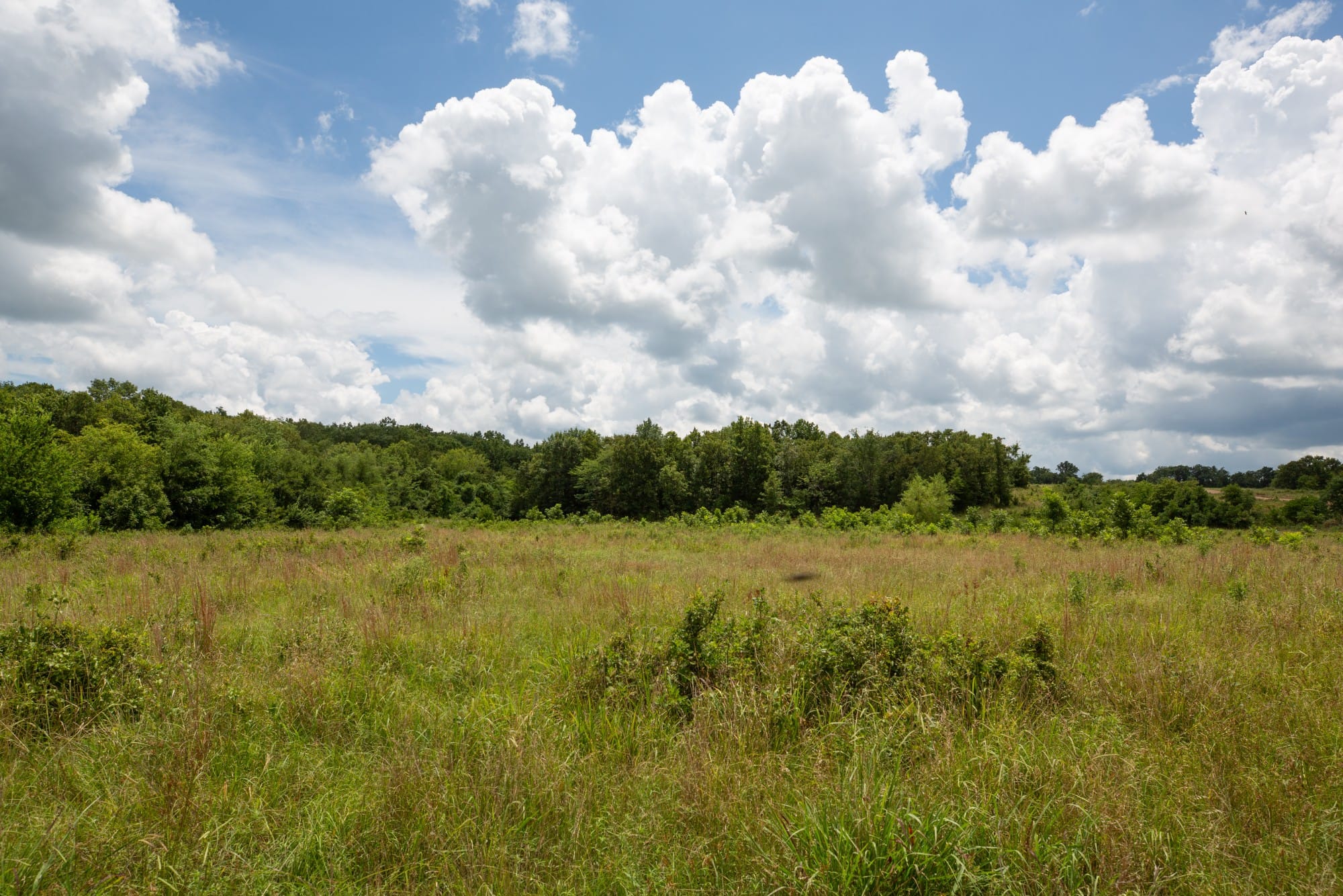 Paradise Valley Tract 8 photo 9