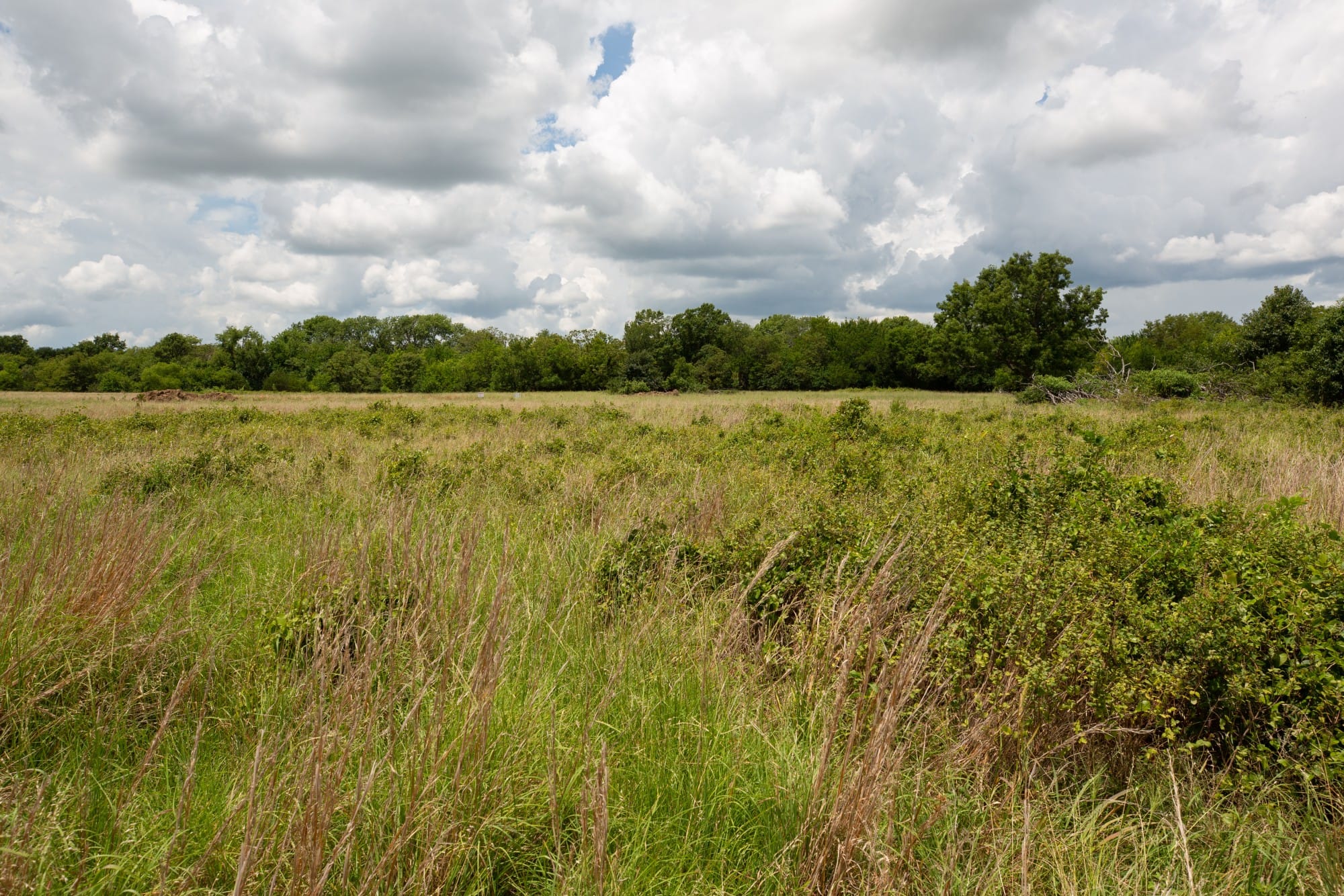 Paradise Valley Tract 8 photo 10
