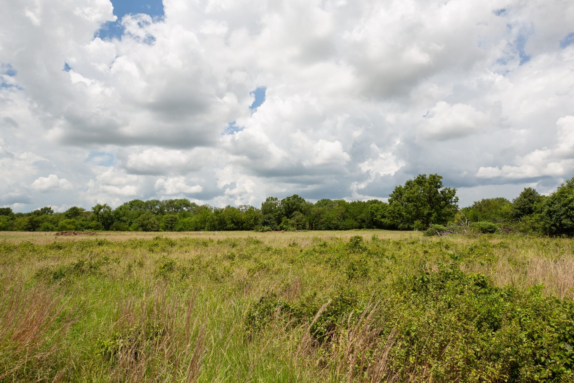 Paradise Valley Tract 8 photo 11