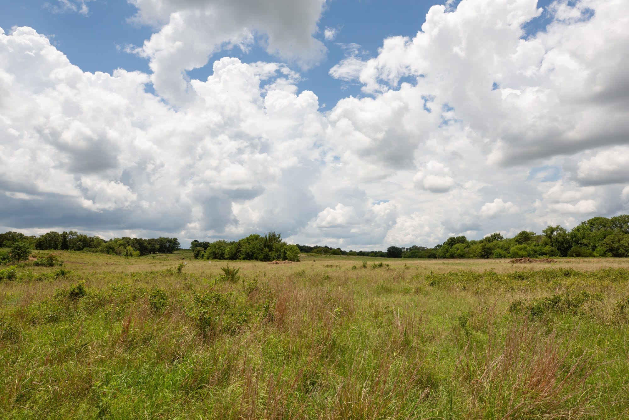 Paradise Valley Tract 8 photo 12