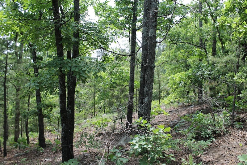 Indian Ridge – Phase II Tract 58 photo 5