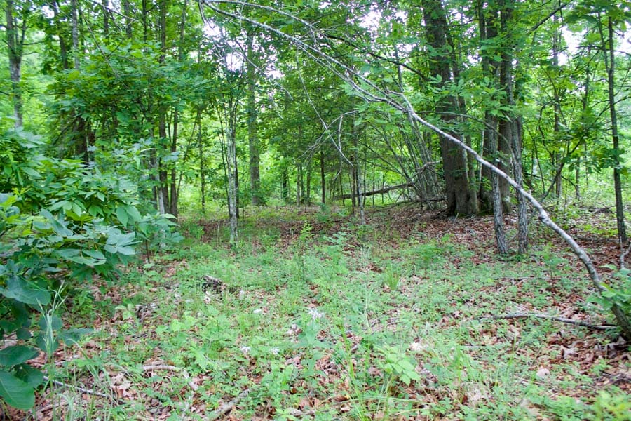 Thunder Mountain Ranch Tract 26 photo 11