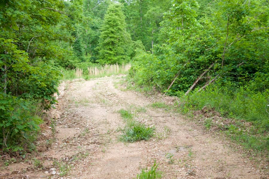 Thunder Mountain Ranch Tract 26 photo 13