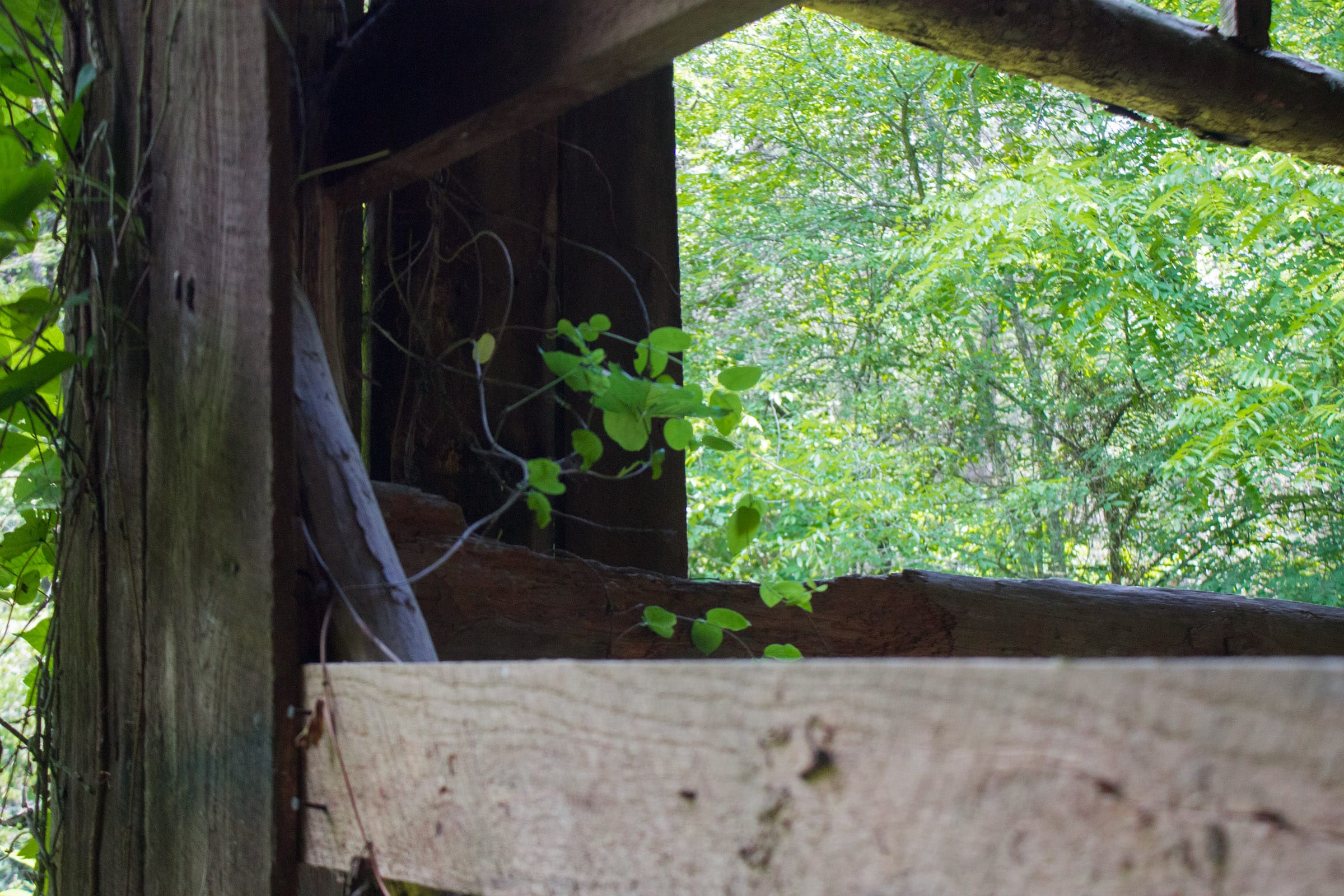 Bluewater Ridge Tract 3 photo 6