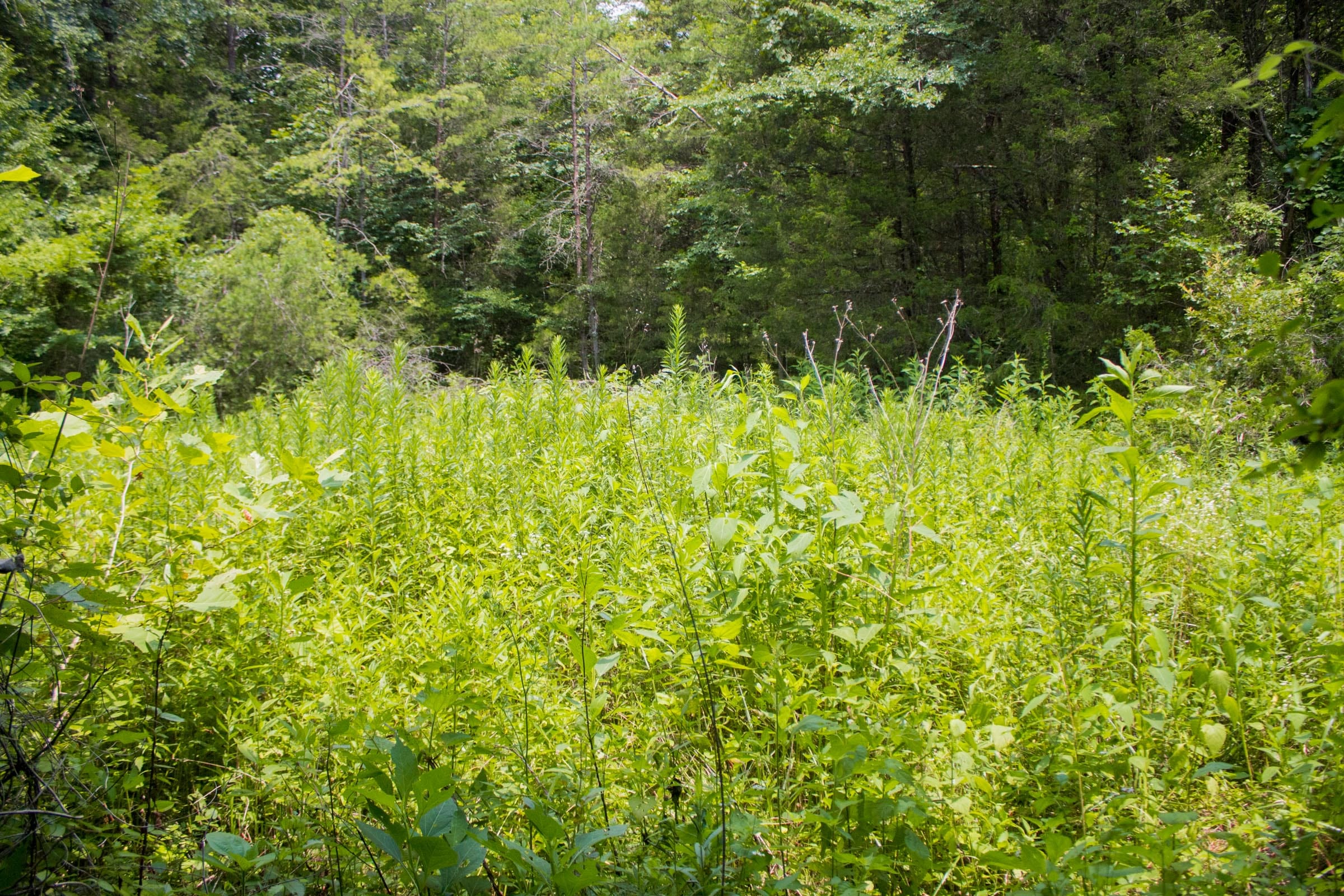 Bluewater Ridge Tract 3 photo 7