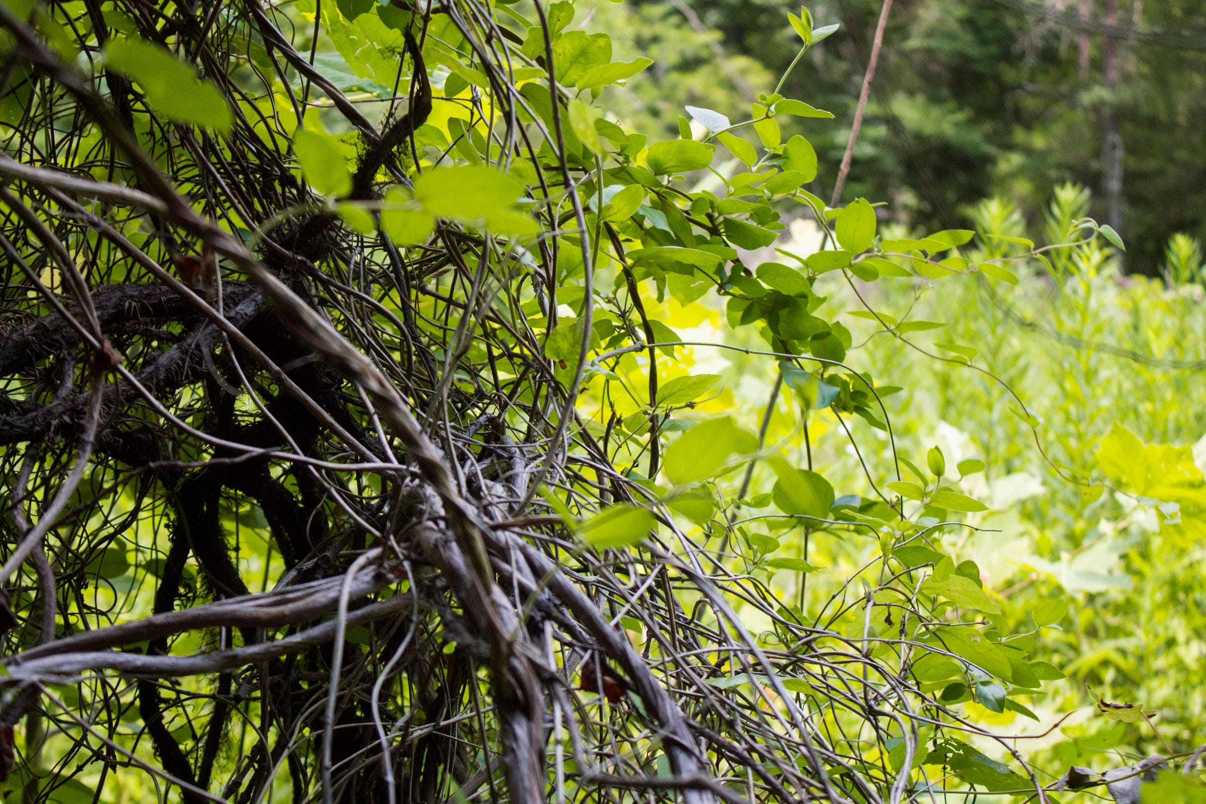 Bluewater Ridge Tract 3 photo 8