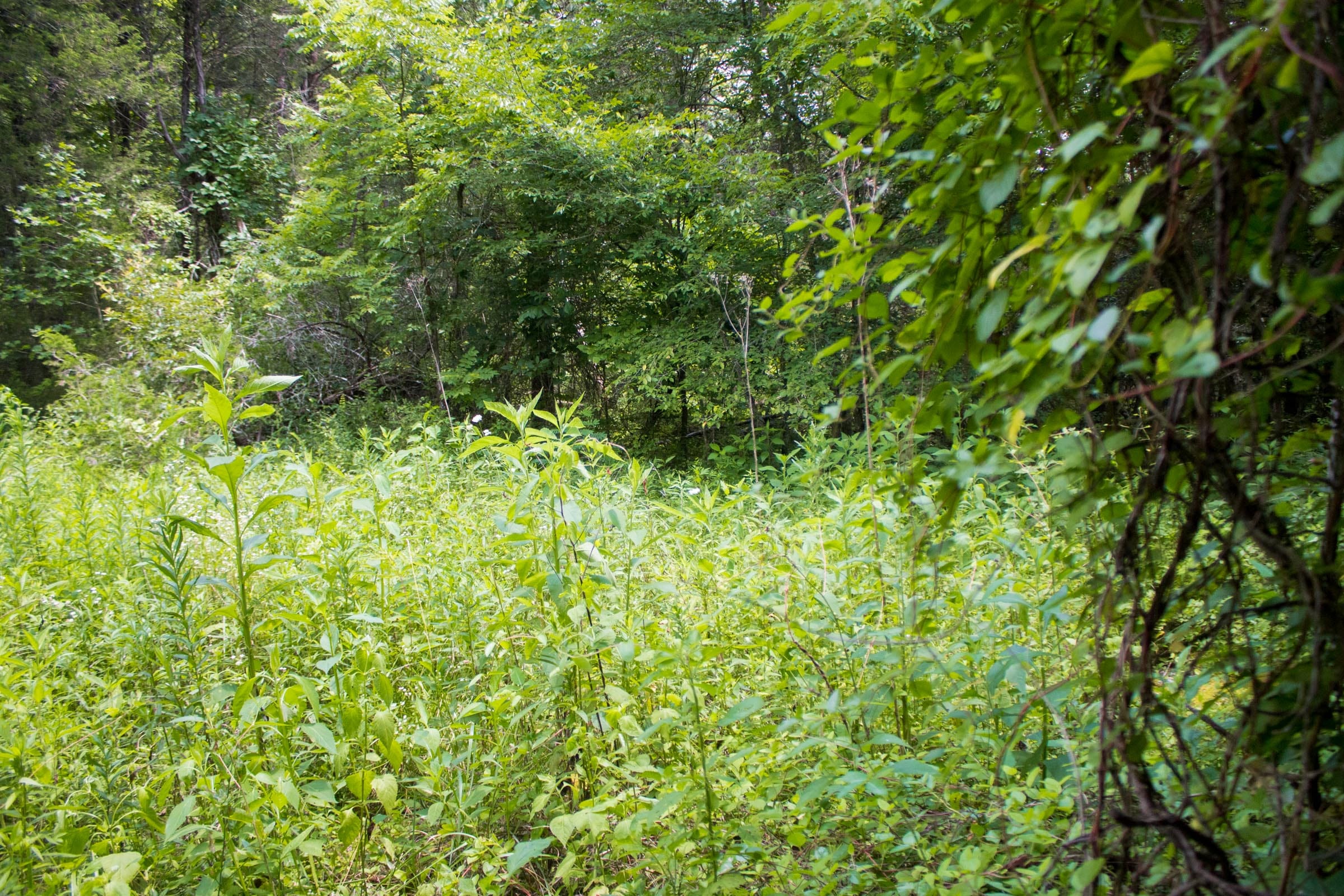 Bluewater Ridge Tract 3 photo 9