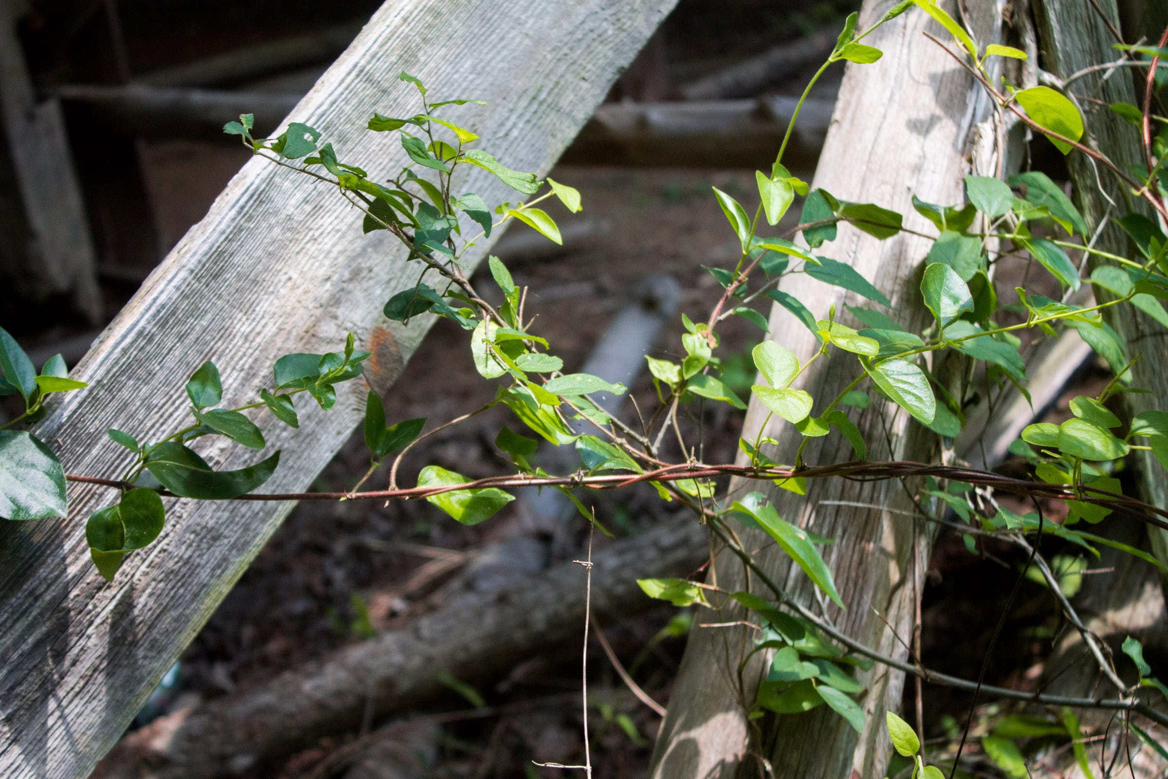 Bluewater Ridge Tract 3 photo 10