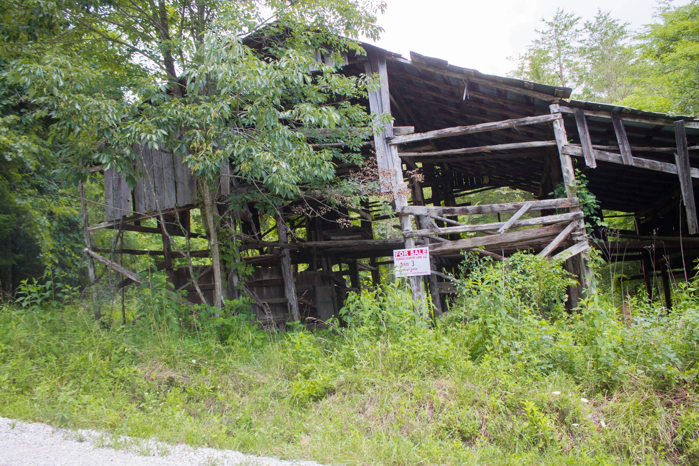 Bluewater Ridge Tract 3 photo 11