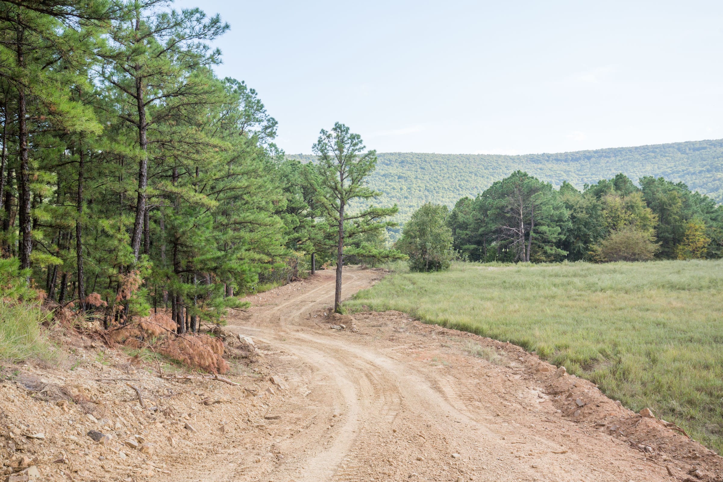 Stone Bridge Phase I Tract 60 photo 6
