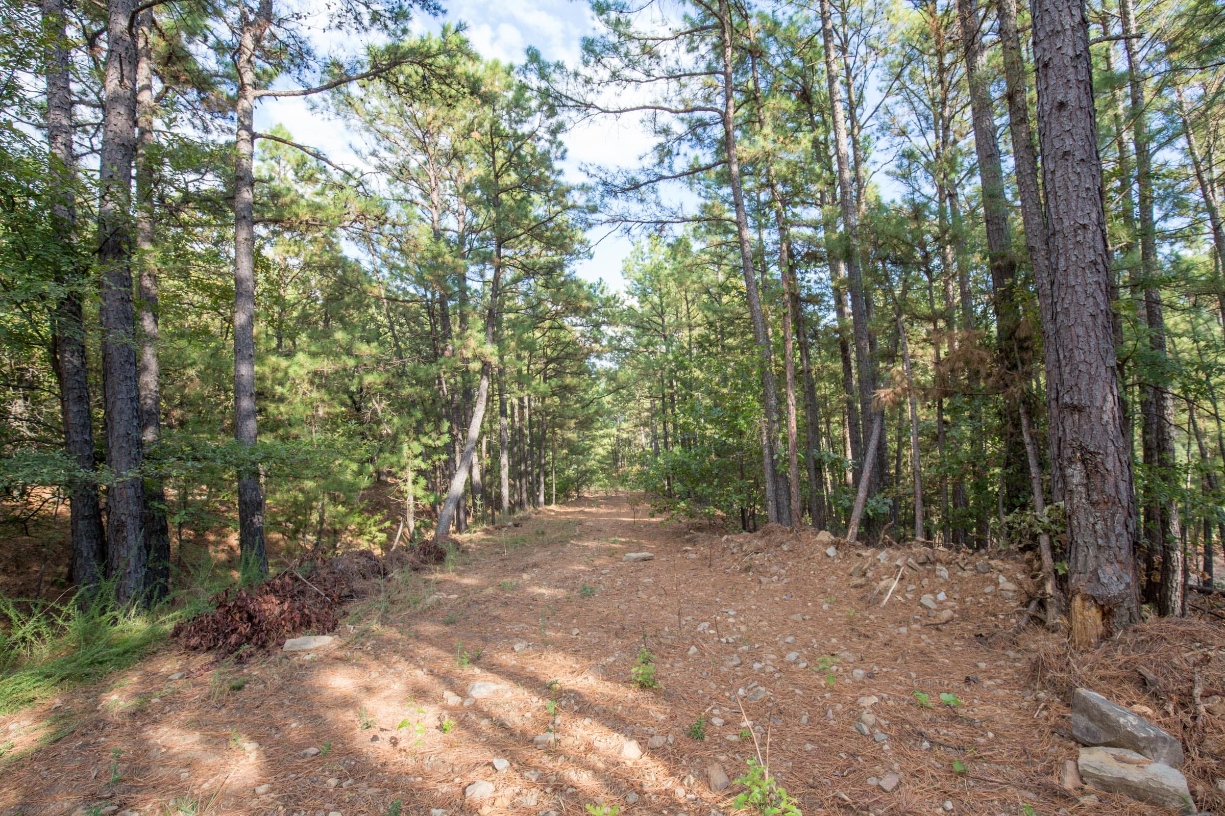 Stone Bridge Phase I Tract 60 photo 10