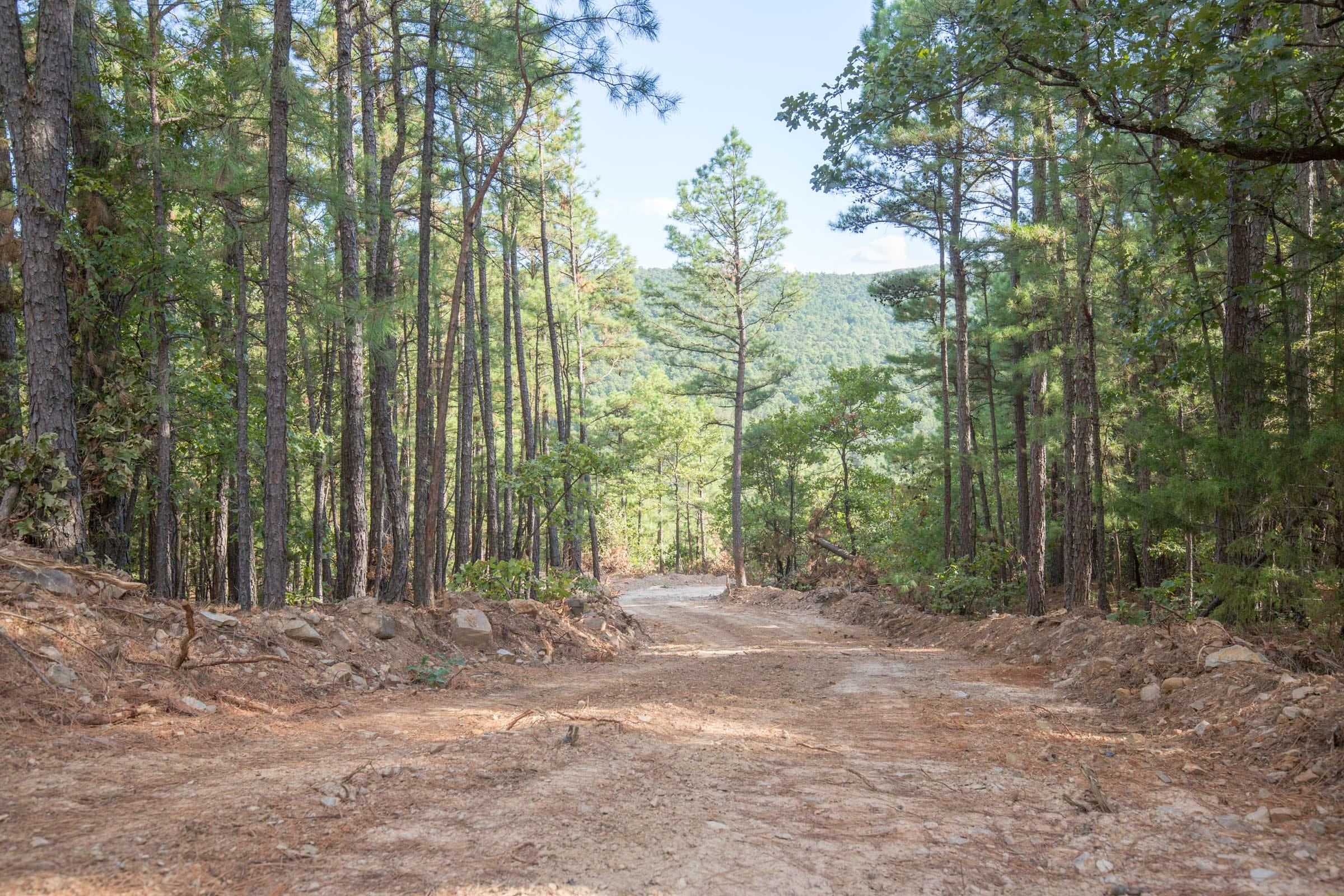 Stone Bridge Phase I Tract 60 photo 11
