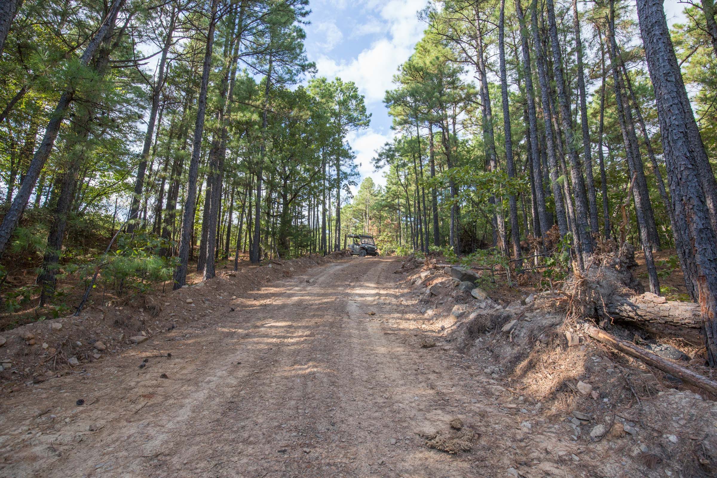 Stone Bridge Phase I Tract 60 photo 15