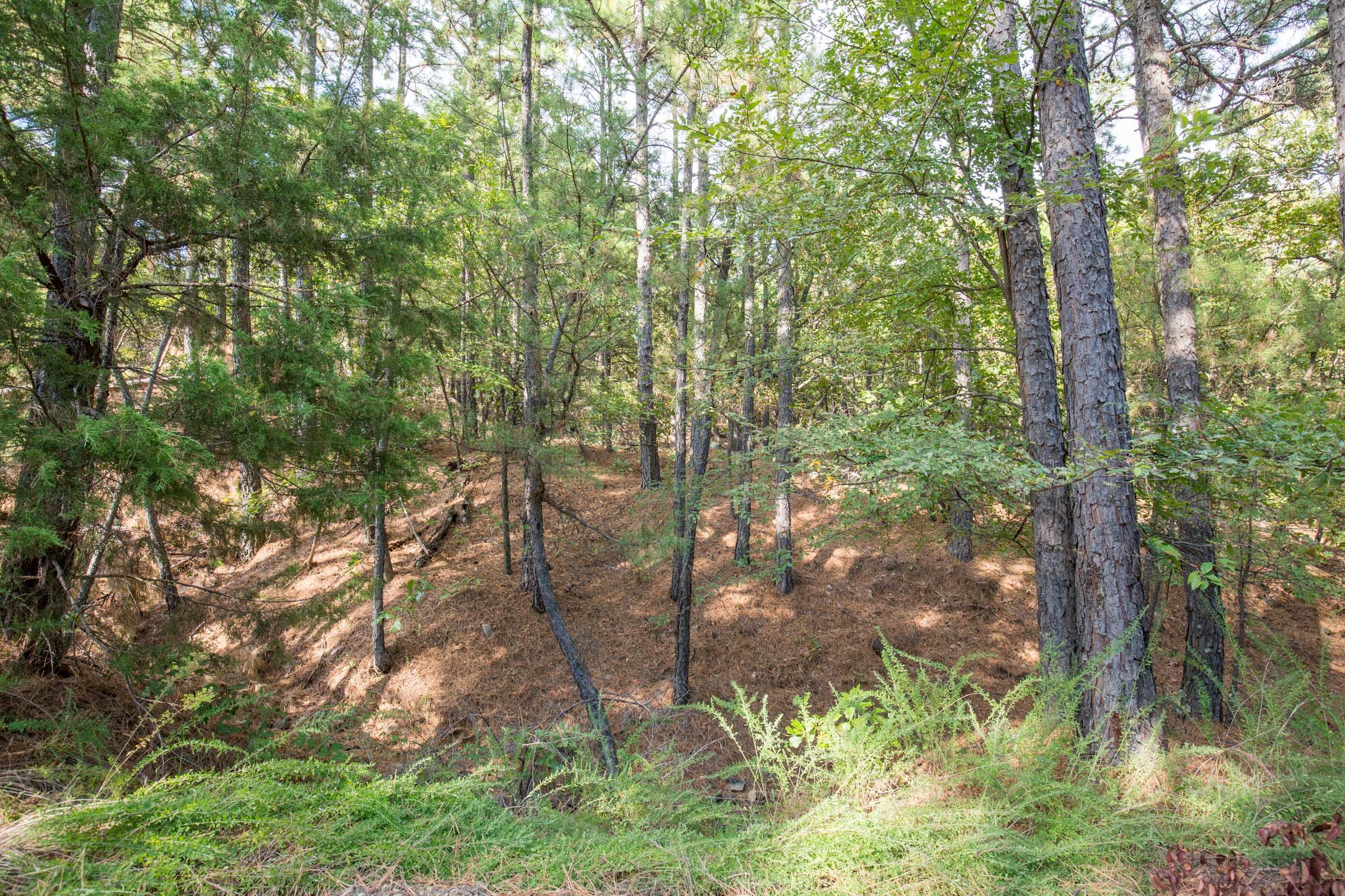 Stone Bridge Phase I Tract 60 photo 16