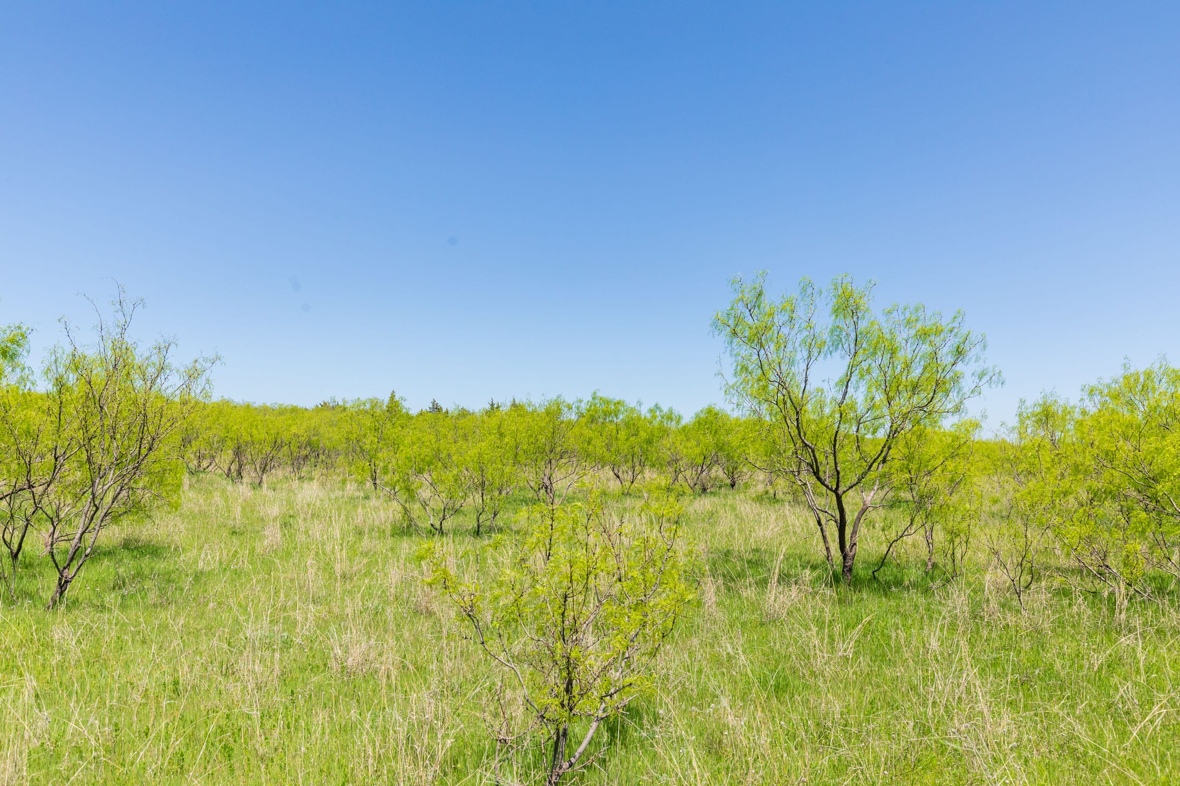 Hackberry Fields Tract 10 photo 10