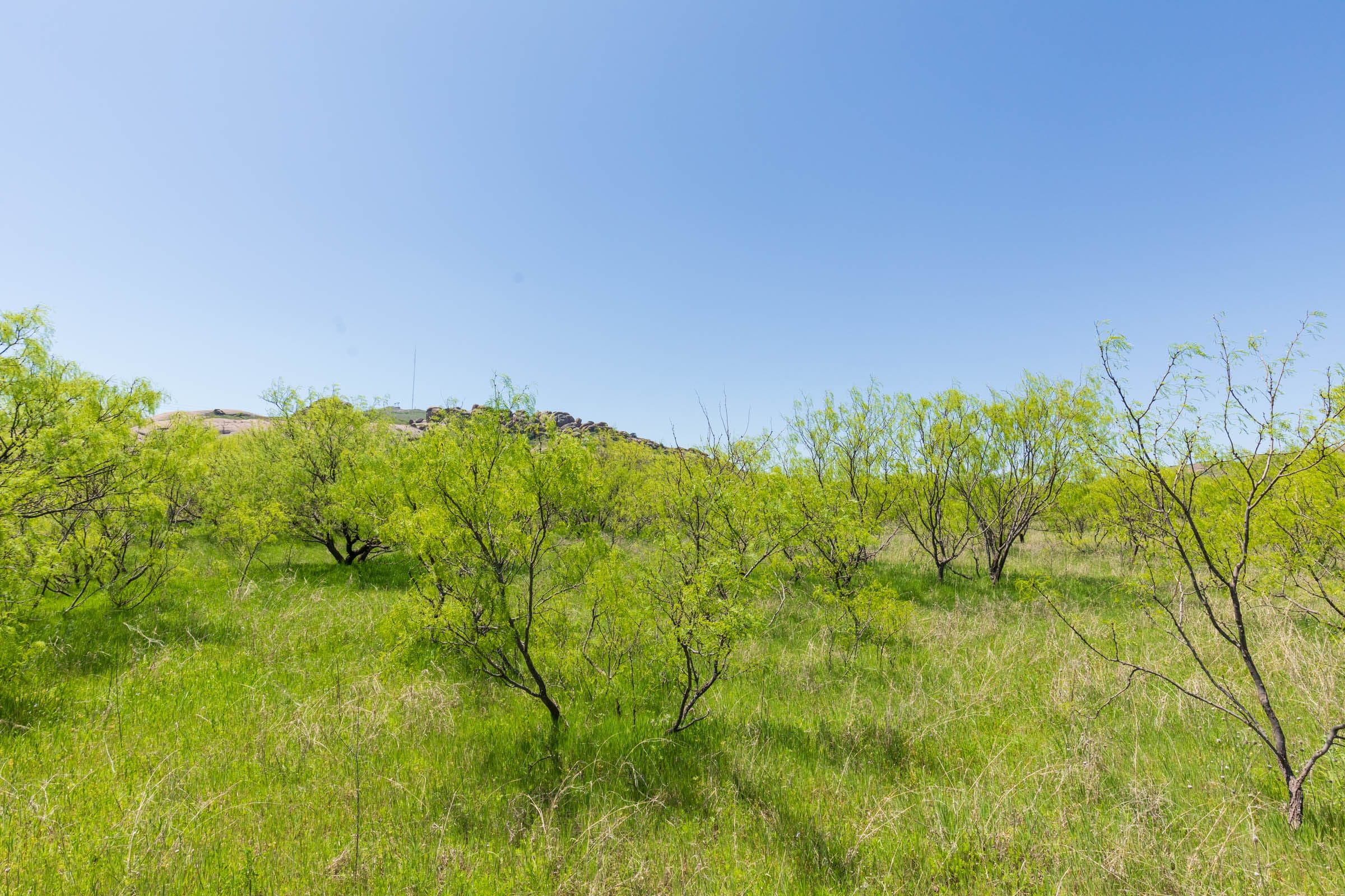 Hackberry Fields Tract 10 photo 11