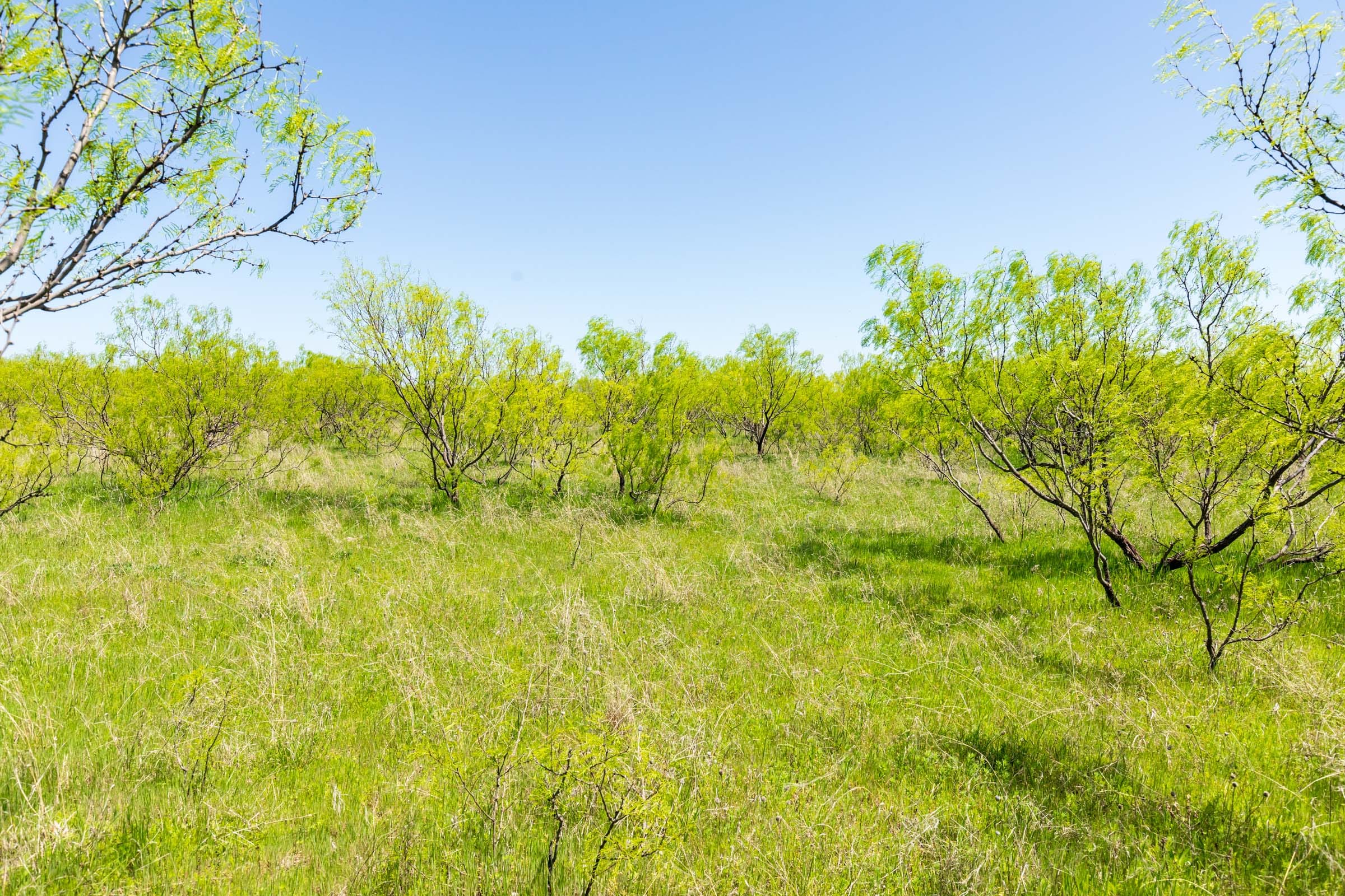 Hackberry Fields Tract 10 photo 12