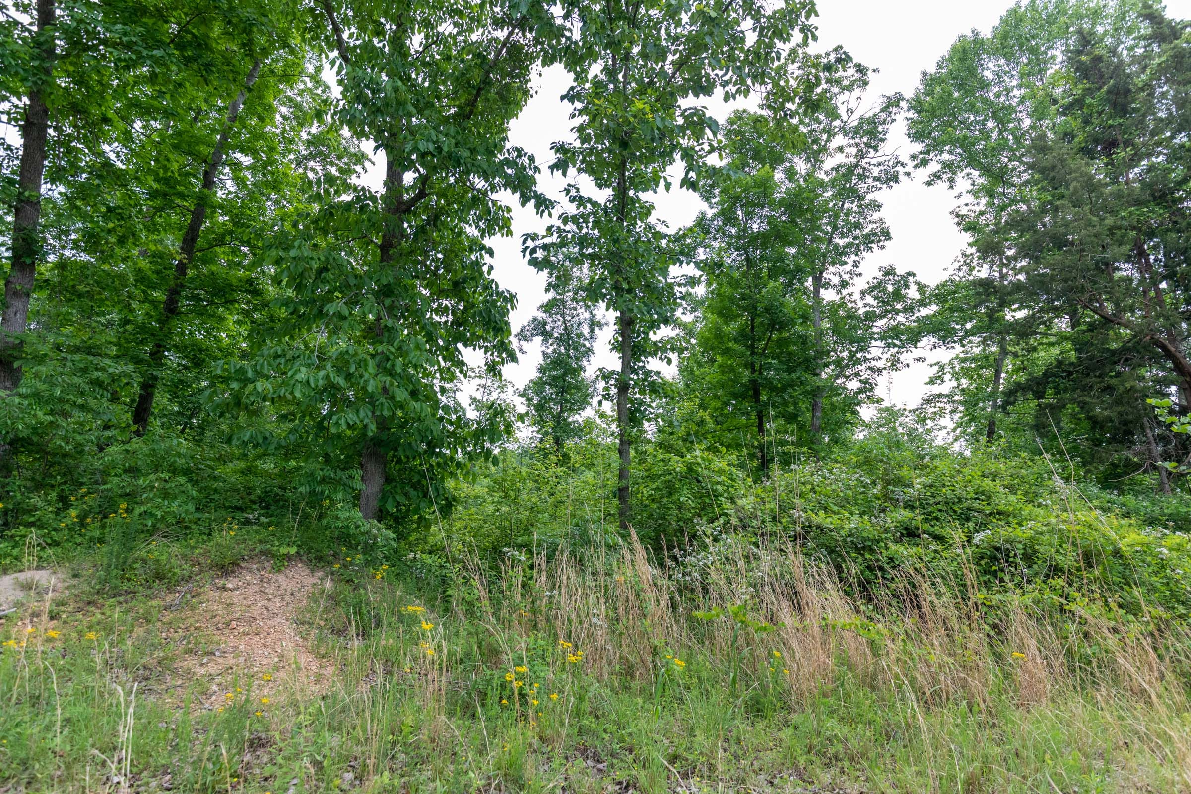 Cedar Creek Tract 10 photo 1