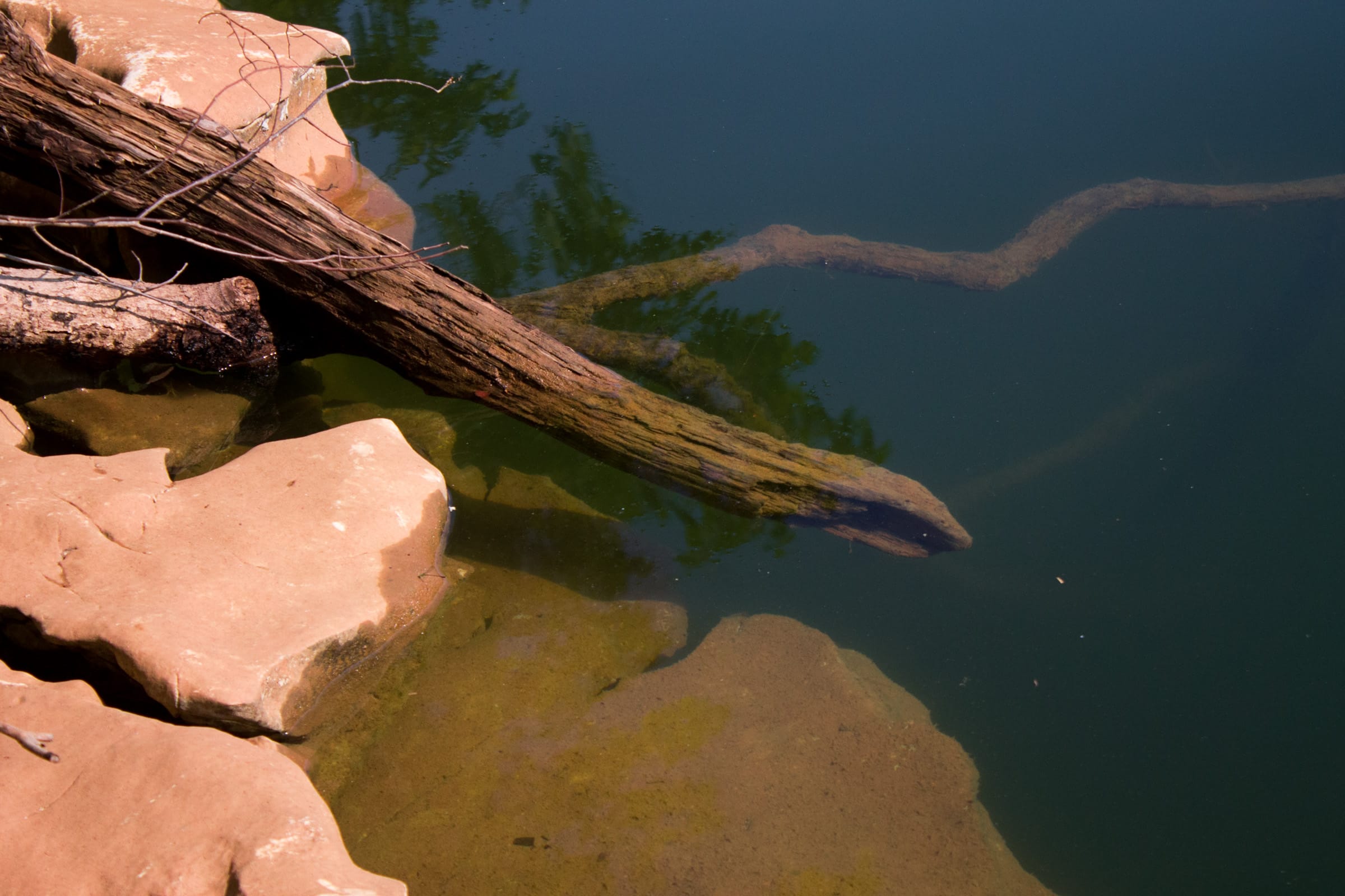 Bluewater Ridge Tract 20 photo 8