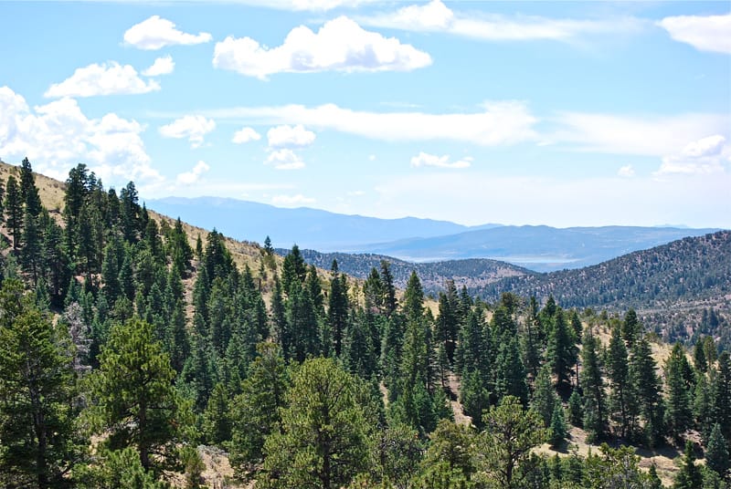 Eagle Ridge Ranch Tract 76 photo 5