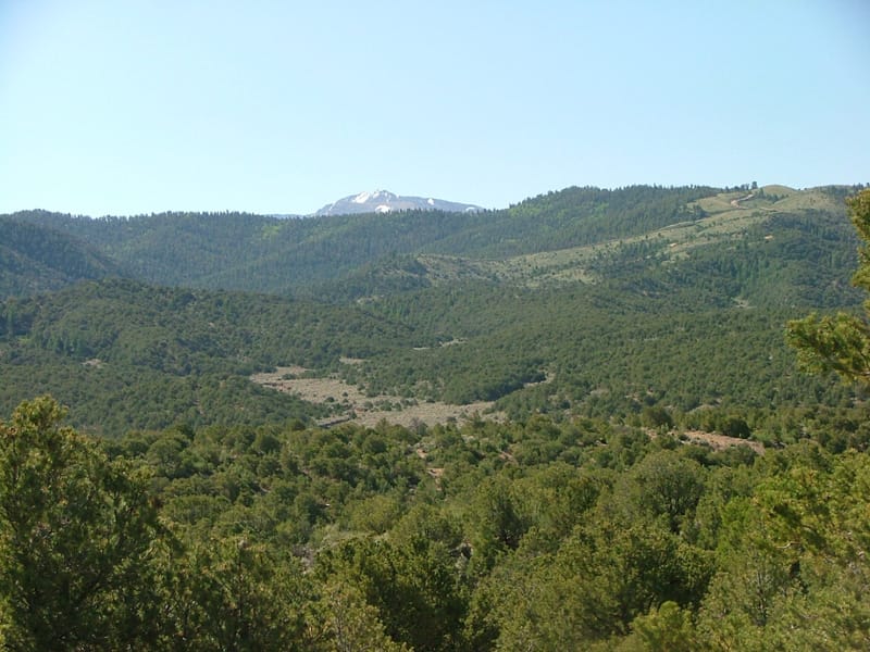 Eagle Ridge Ranch Tract 76 photo 8