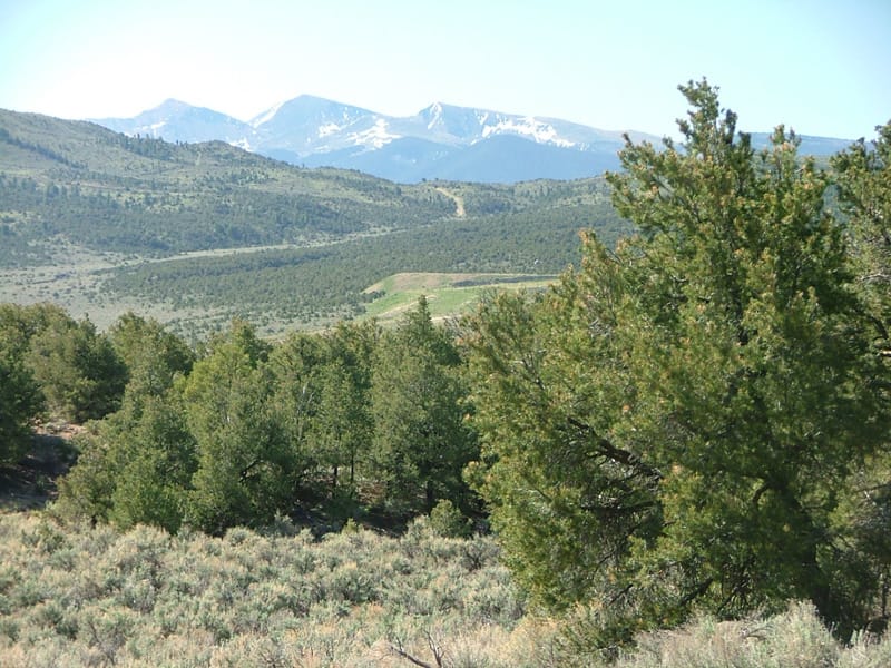 Eagle Ridge Ranch Tract 76 photo 10