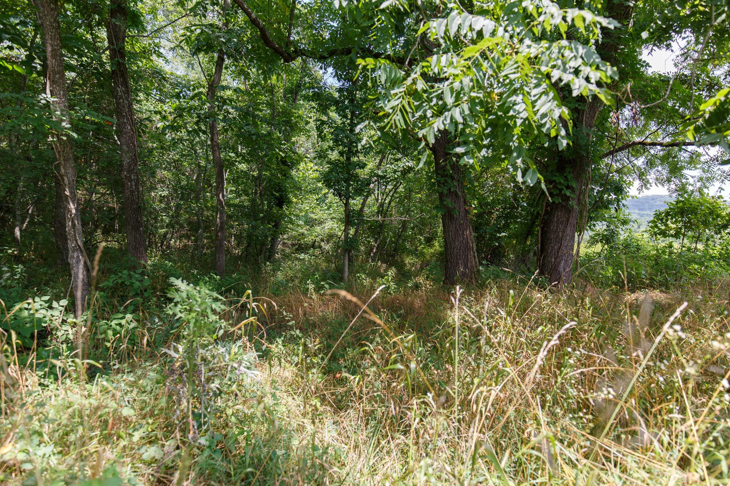 Rolling Hills Tract 4 photo 10
