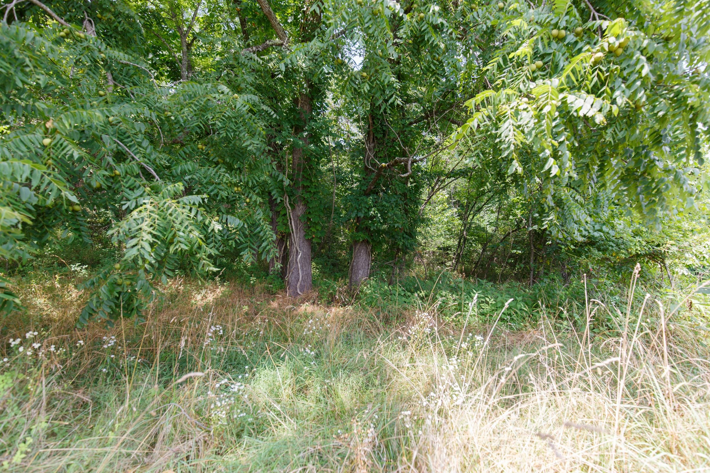 Rolling Hills Tract 4 photo 14