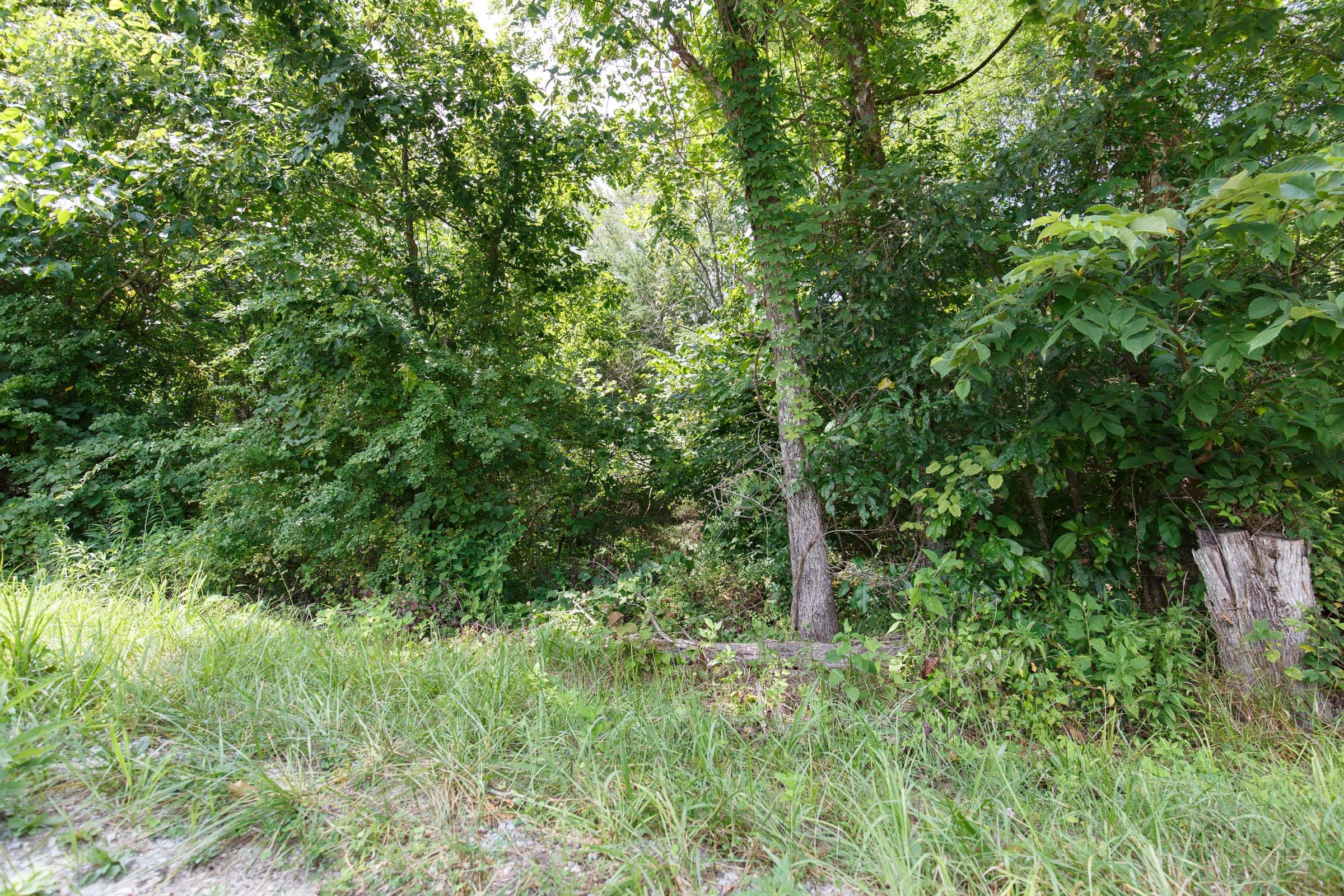 Rolling Hills Tract 4 photo 15