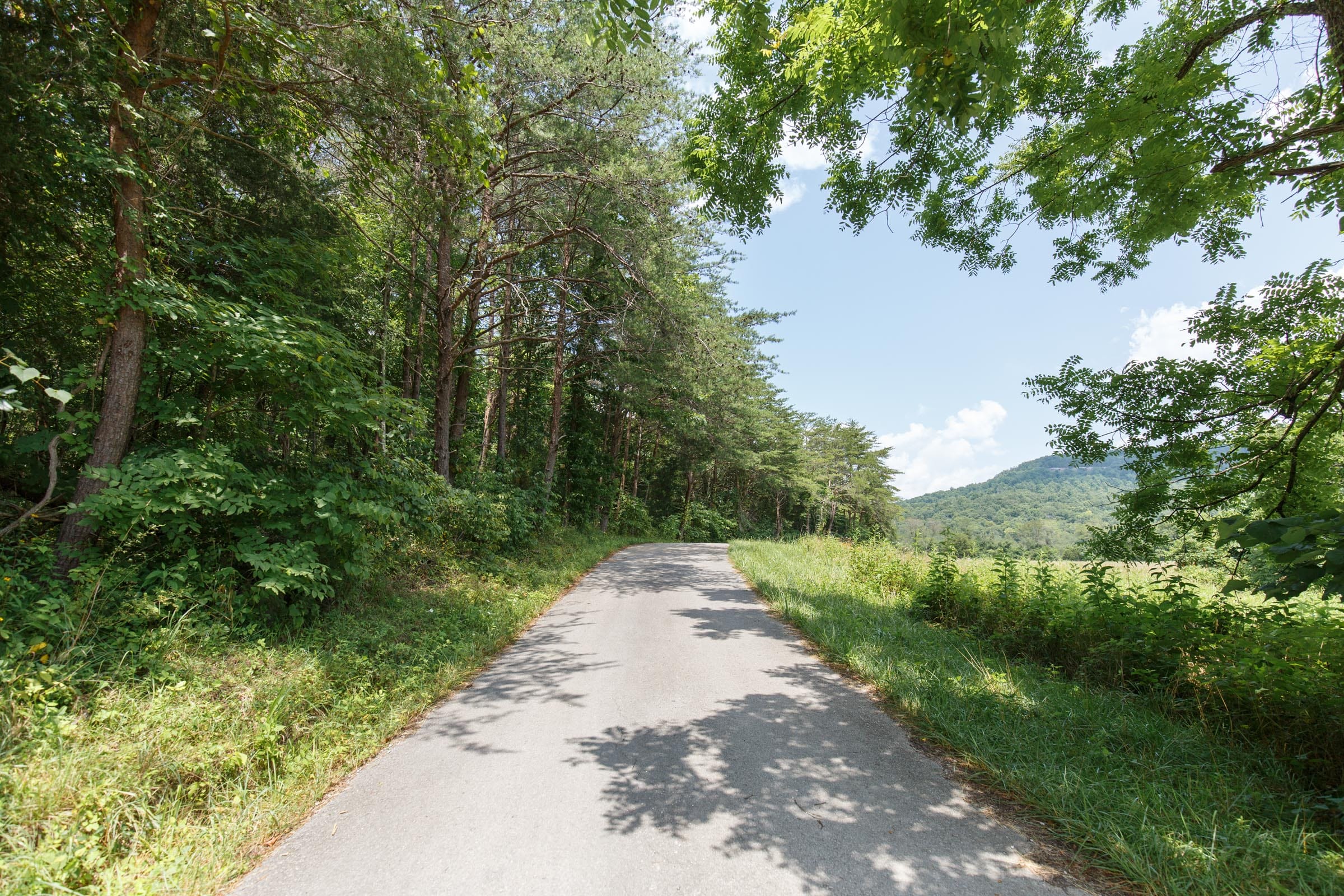 Rolling Hills Tract 4 photo 13