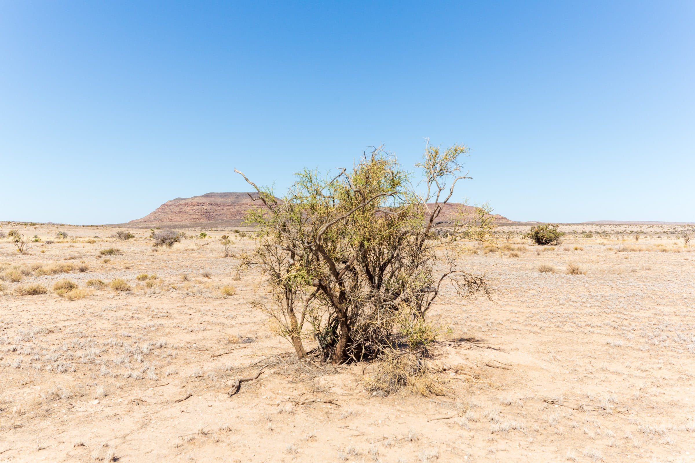 Sunrise Ranches Phase IV Tract 149 photo 15