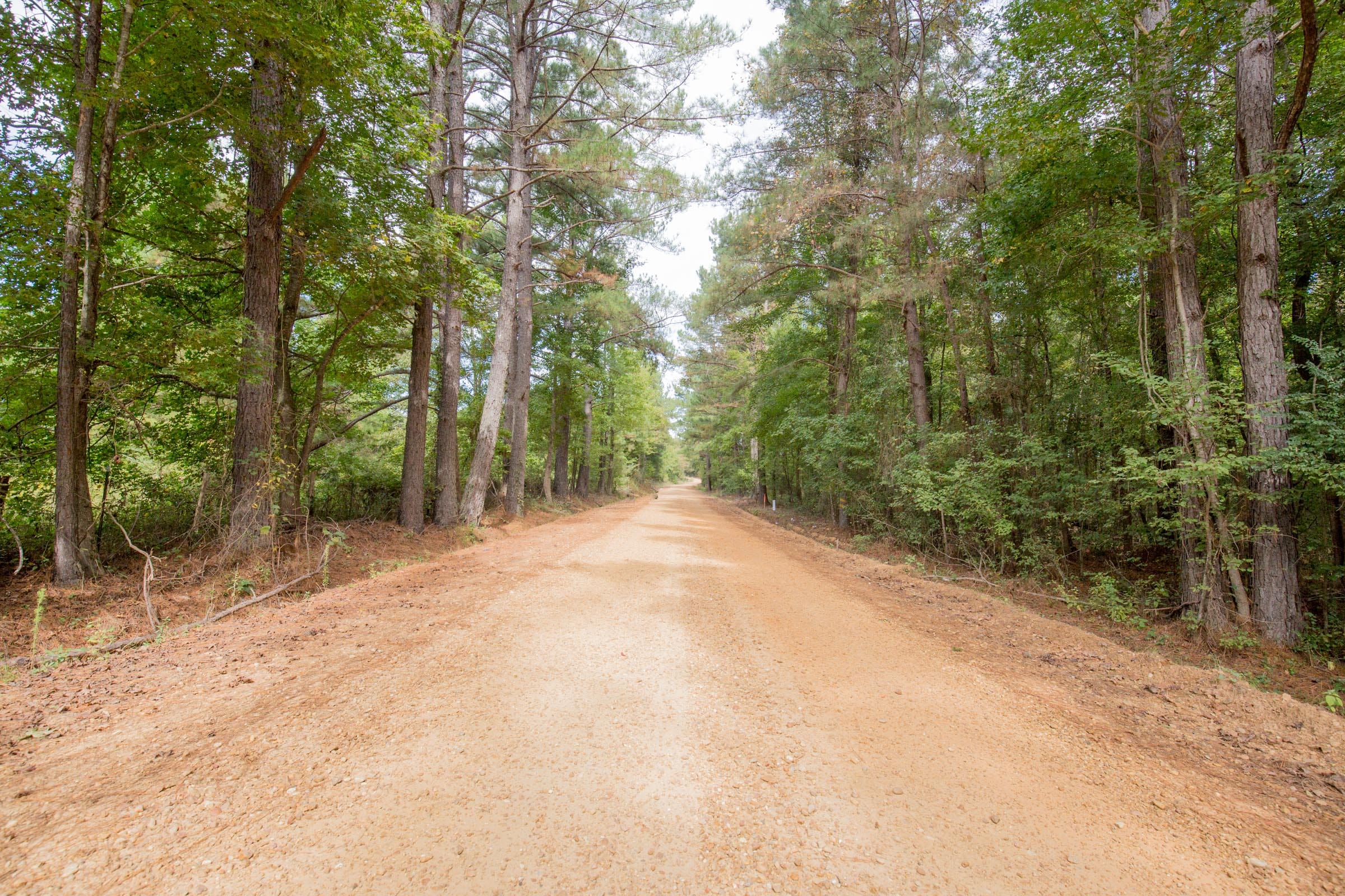 Sky Ranch Tract 13 photo 11