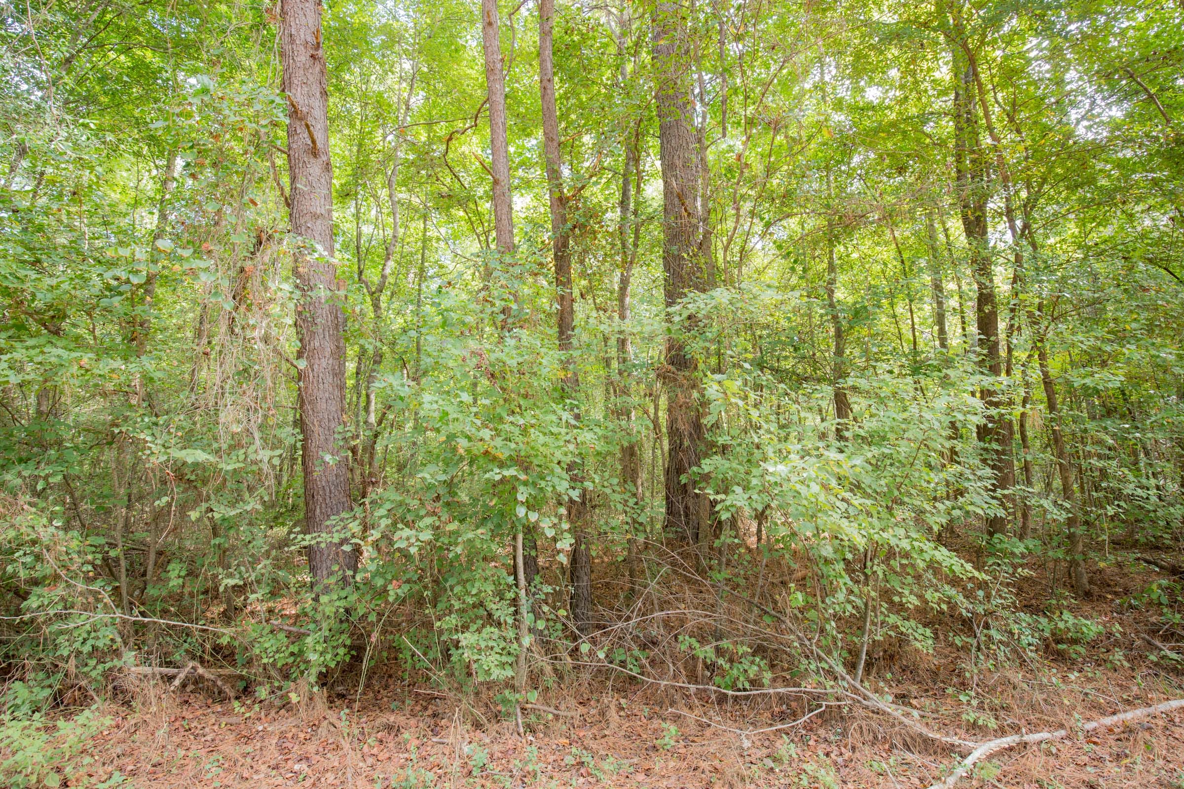 Sky Ranch Tract 13 photo 5