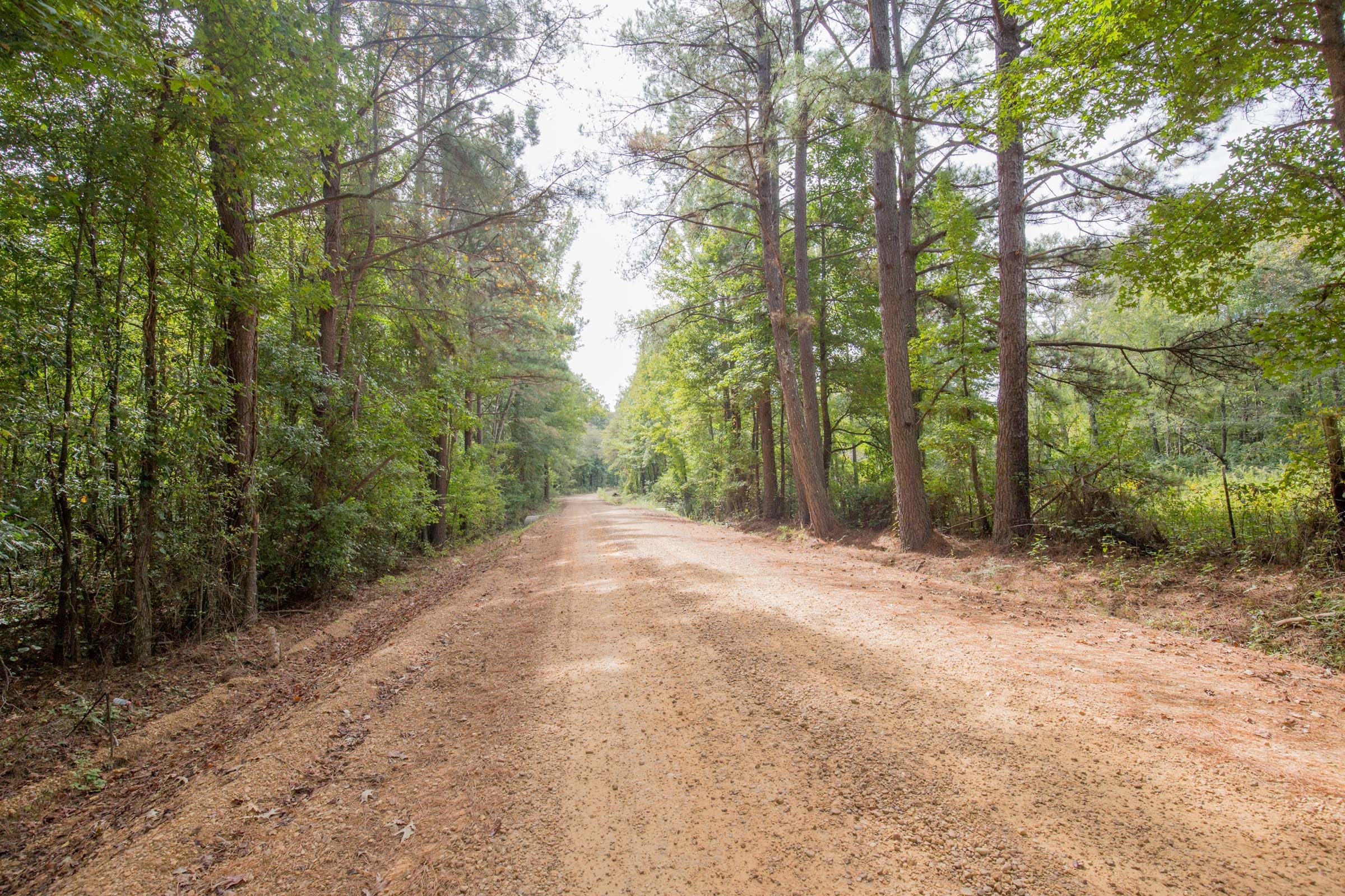 Sky Ranch Tract 13 photo 2