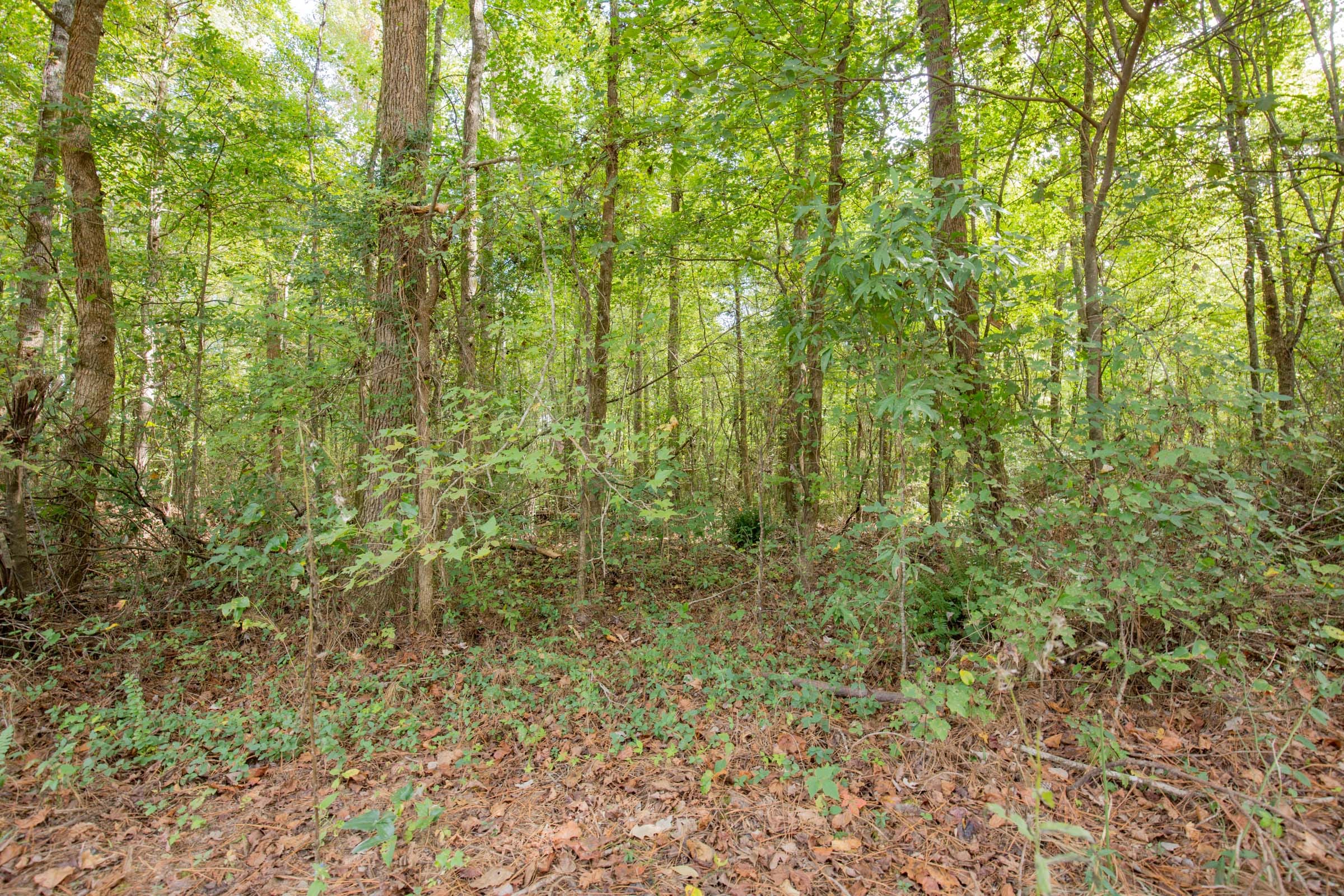 Sky Ranch Tract 13 photo 3