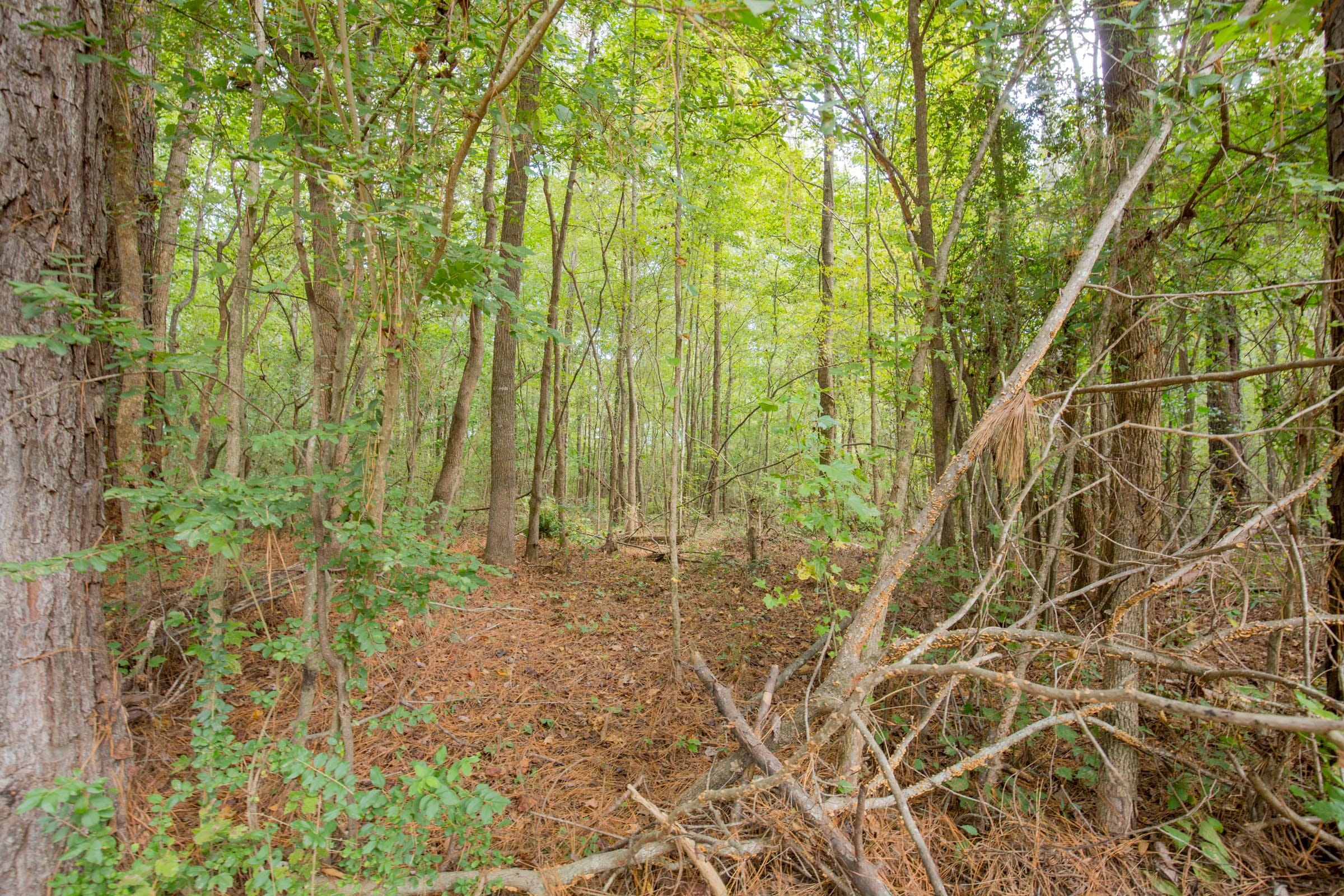 Sky Ranch Tract 13 photo 8