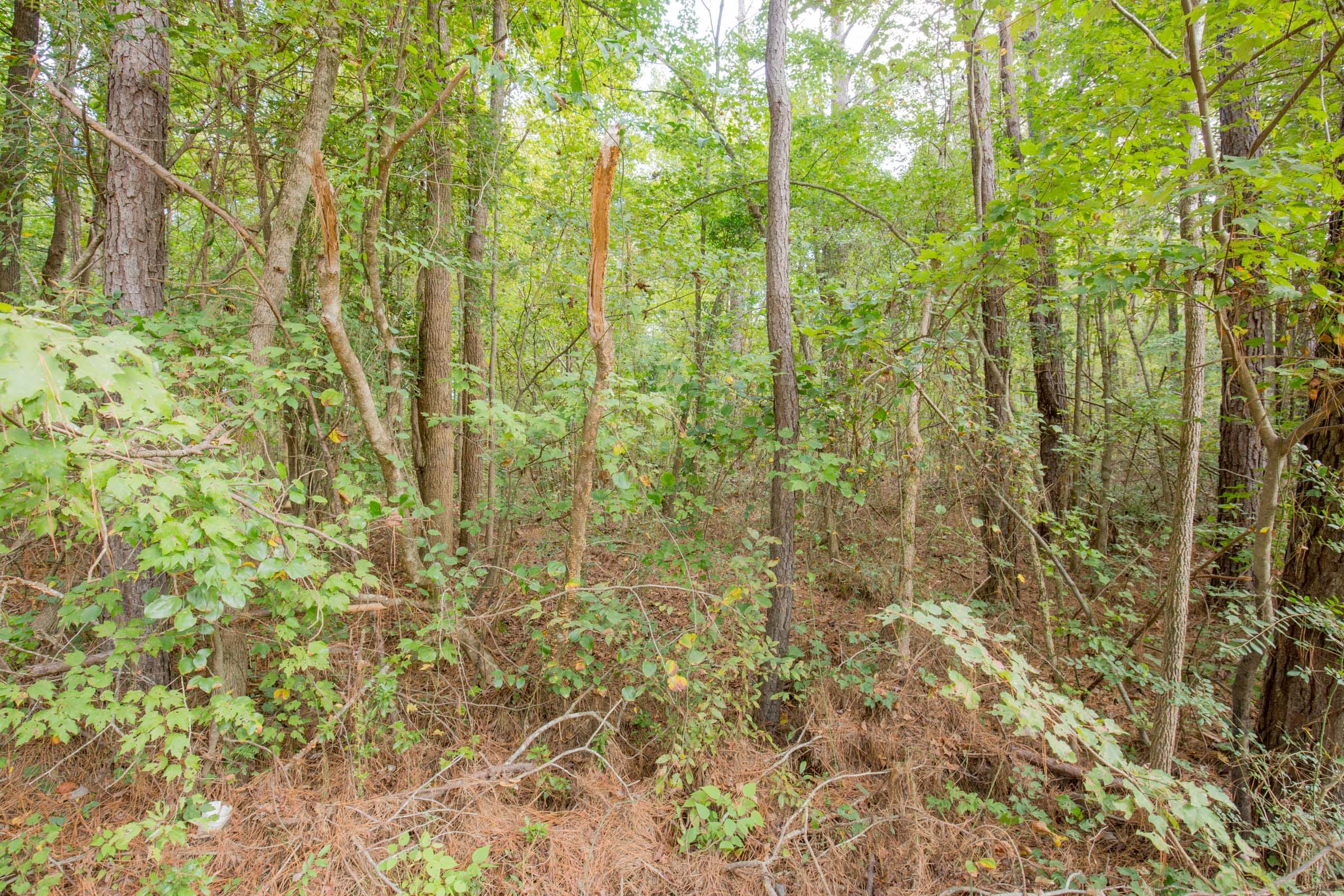 Sky Ranch Tract 13 photo 9
