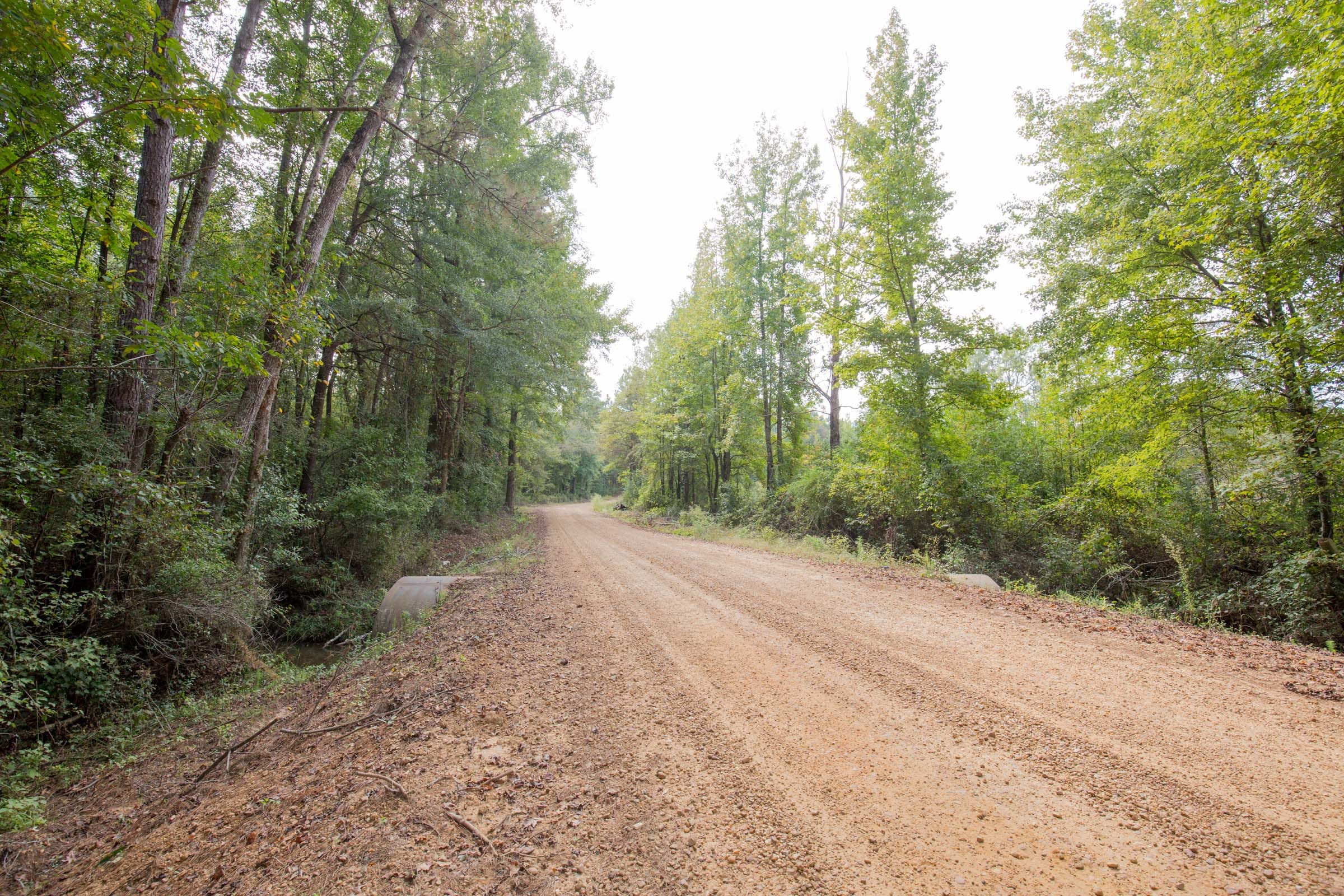 Sky Ranch Tract 13 photo 10