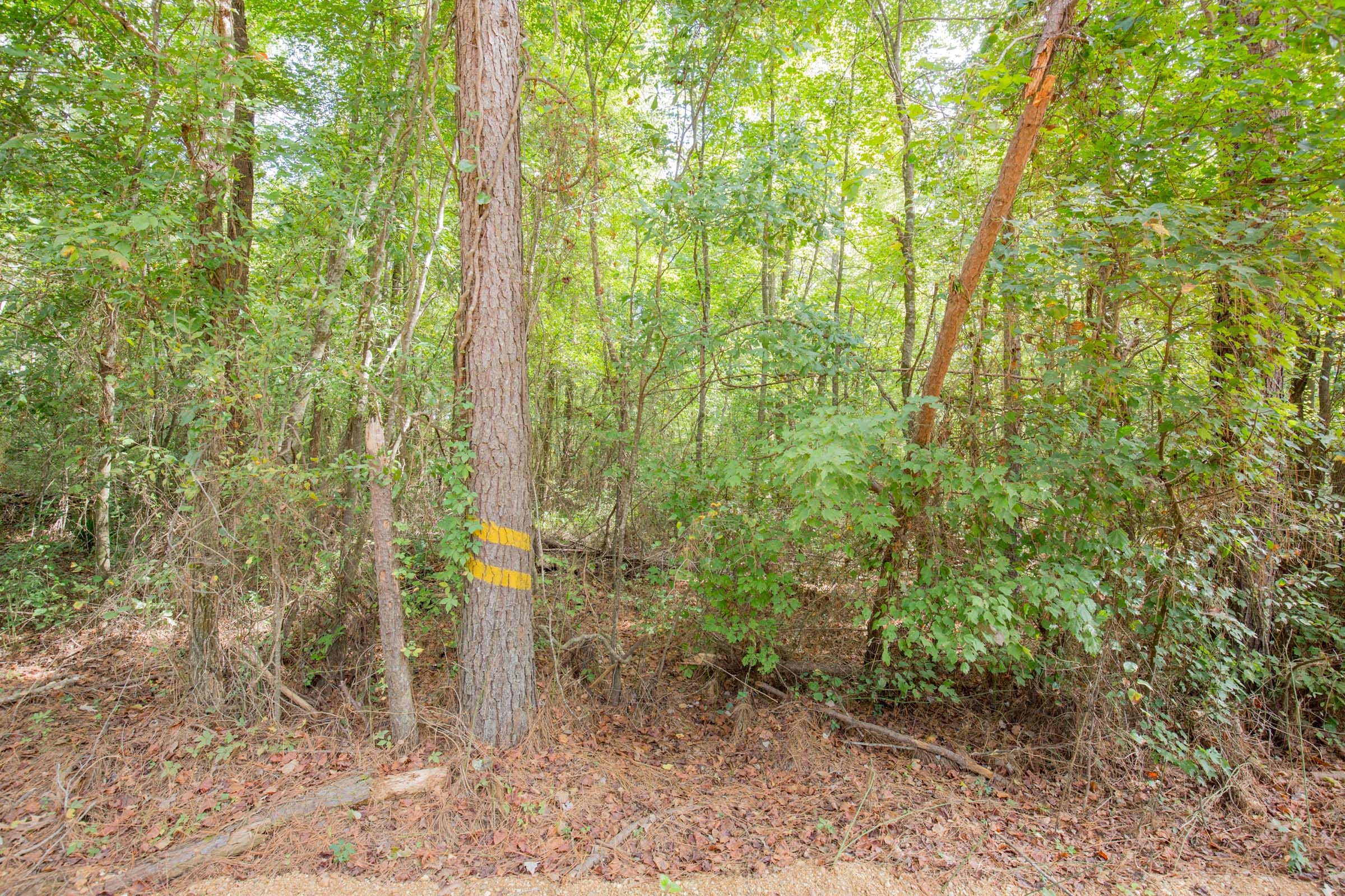 Sky Ranch Tract 13 photo 4