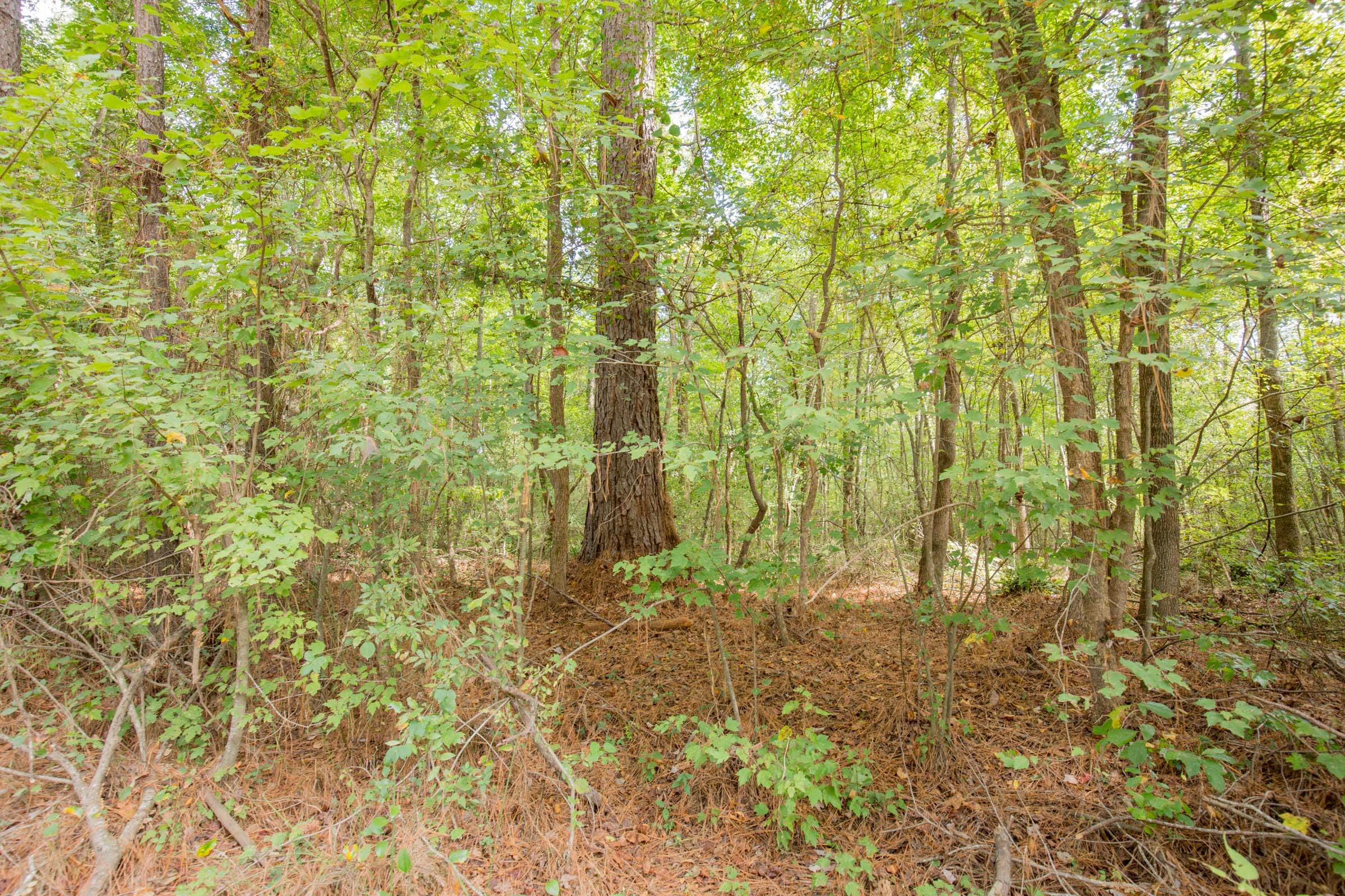Sky Ranch Tract 13 photo 6