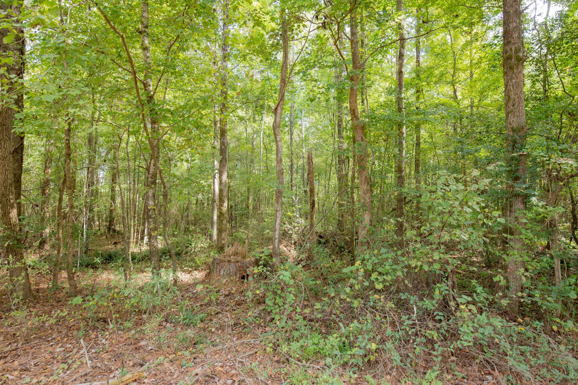Sky Ranch Tract 13 photo 1