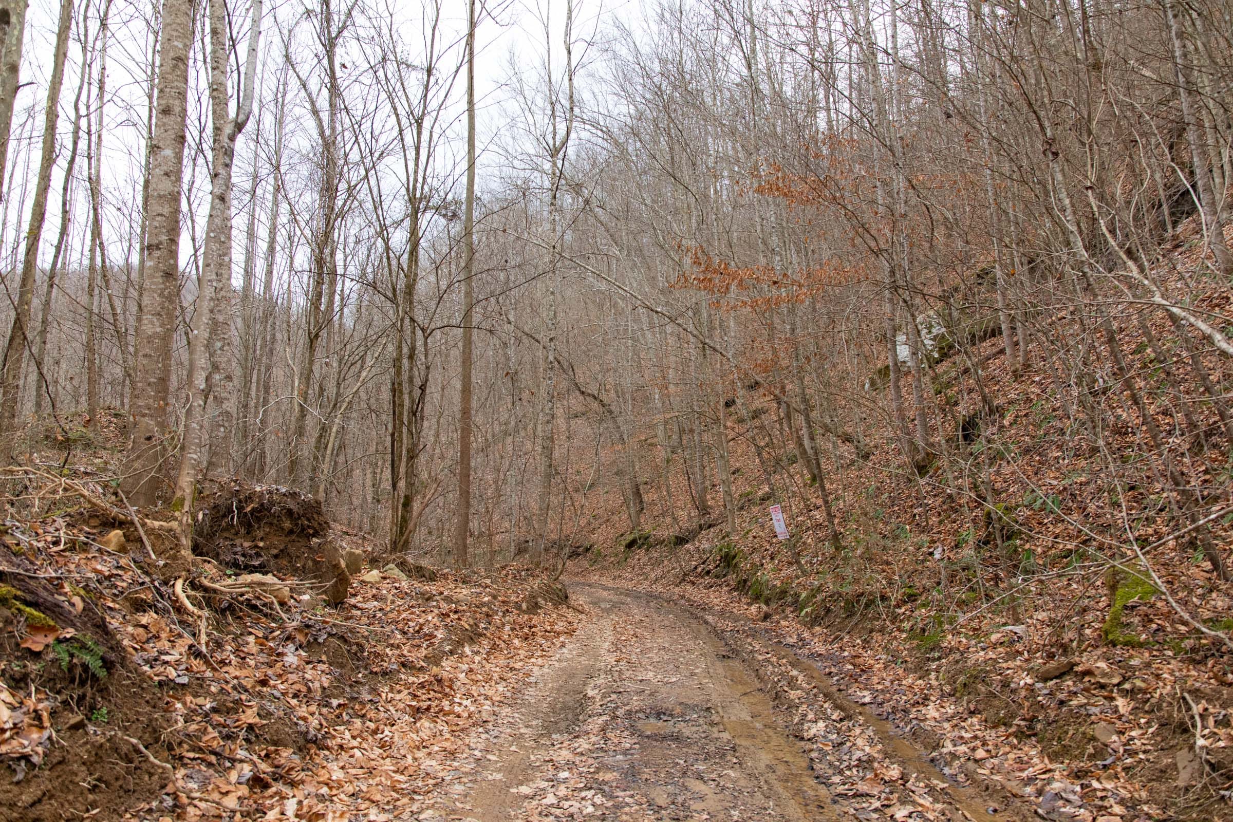 Blackstone Mountain Phase I Tract 42 photo 9