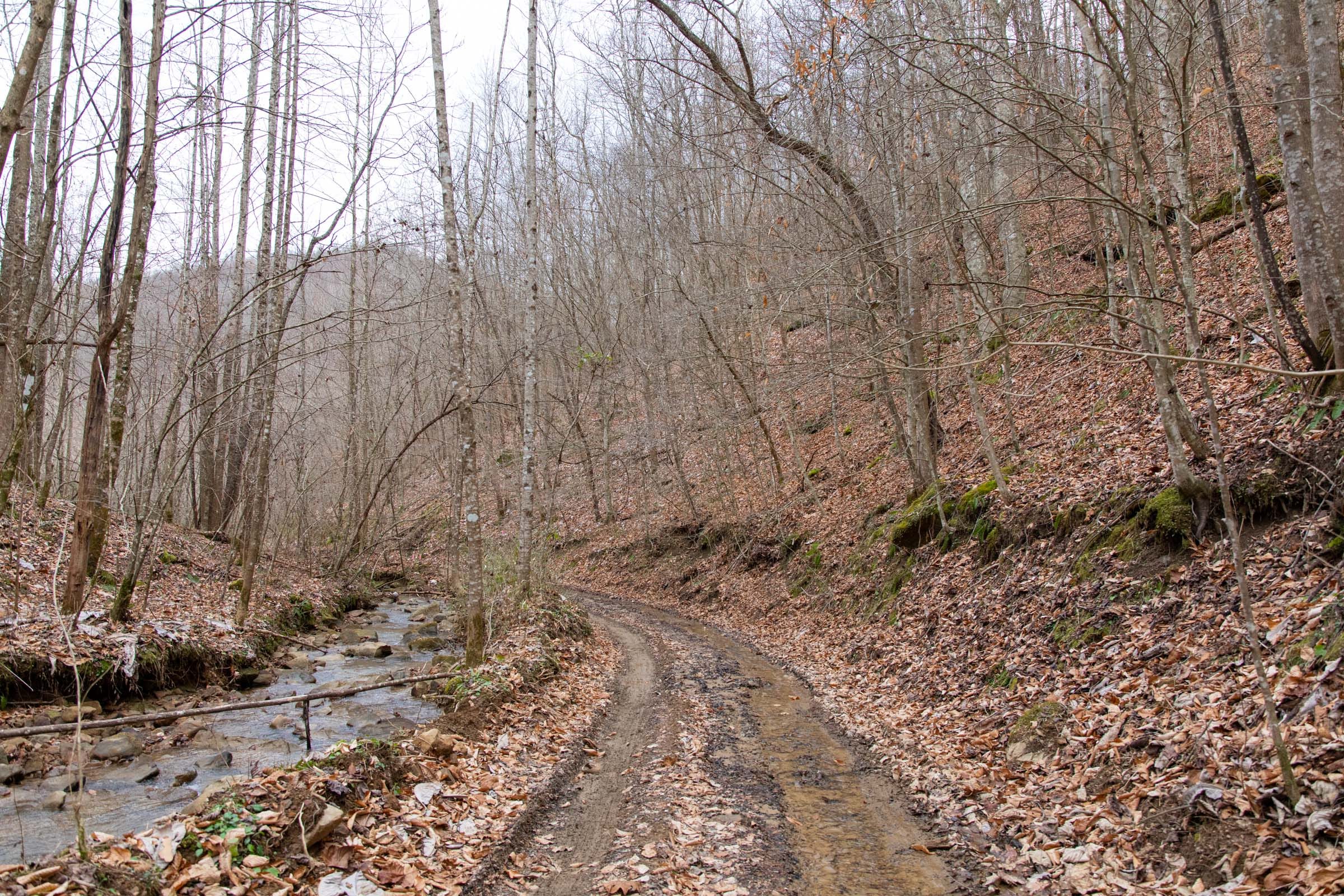 Blackstone Mountain Phase I Tract 42 photo 15