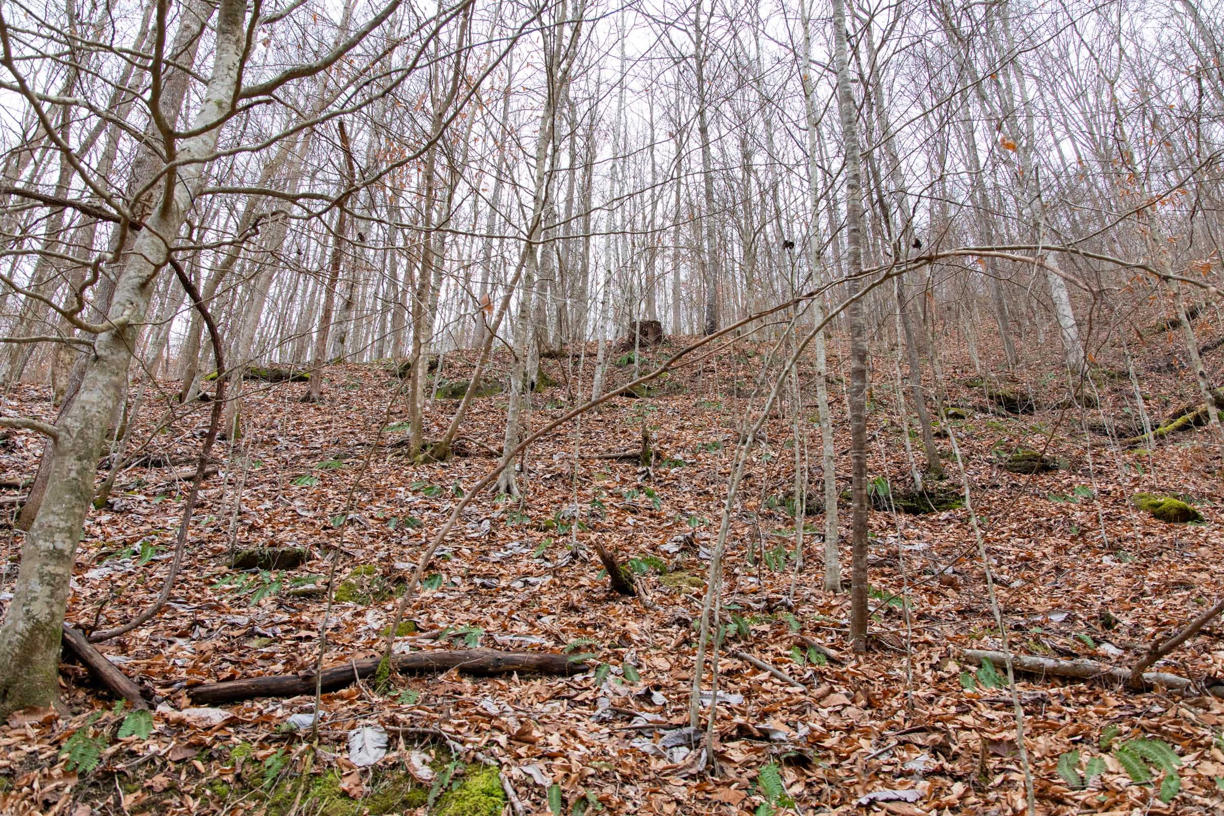 Blackstone Mountain Phase I Tract 42 photo 16