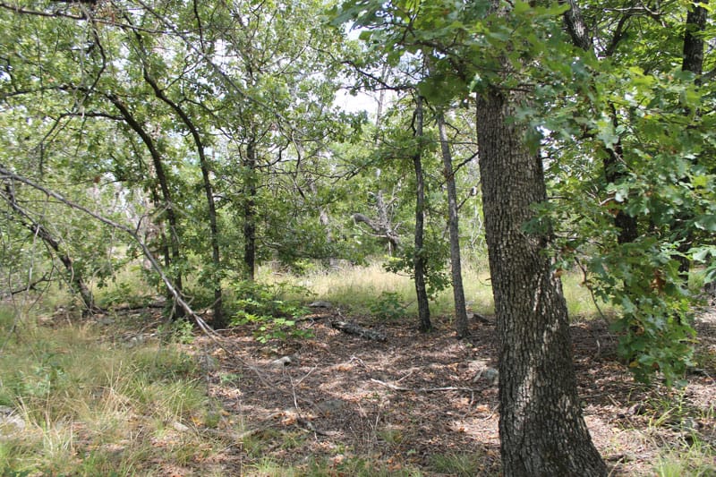 Trophy Ridge Phase III Tract 15 photo 5