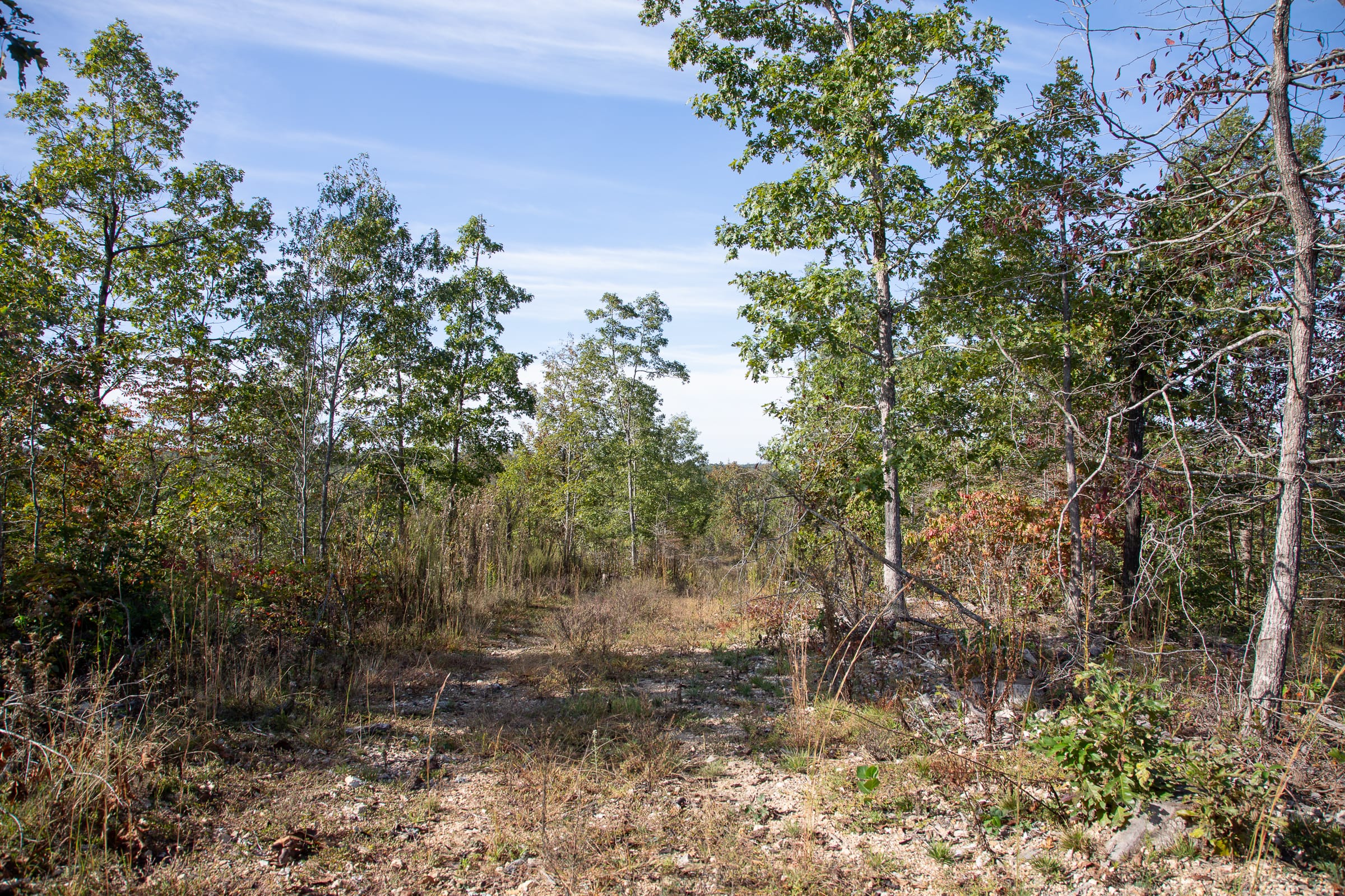 Borgmann’s Hollow Phase IV Tract 124 photo 2